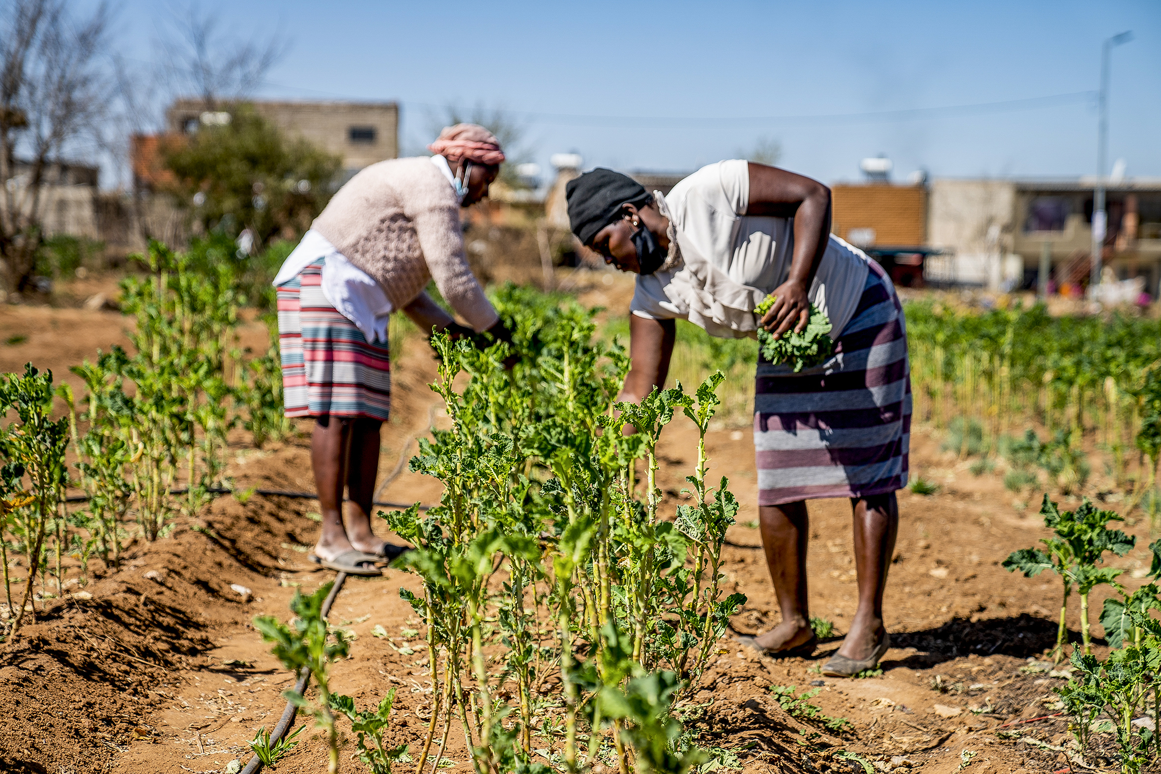 South Africa's G20 presidency a pivotal opportunity for women's economic empowerment and care policies