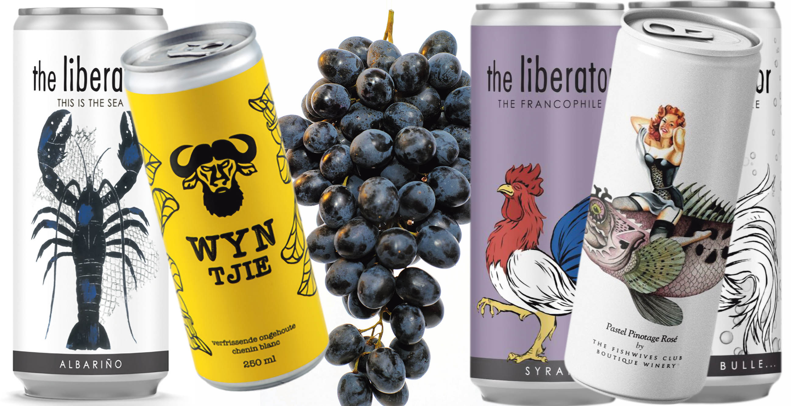 South Africa’s resilient wine industry learns to adapt and survive in tougher environment