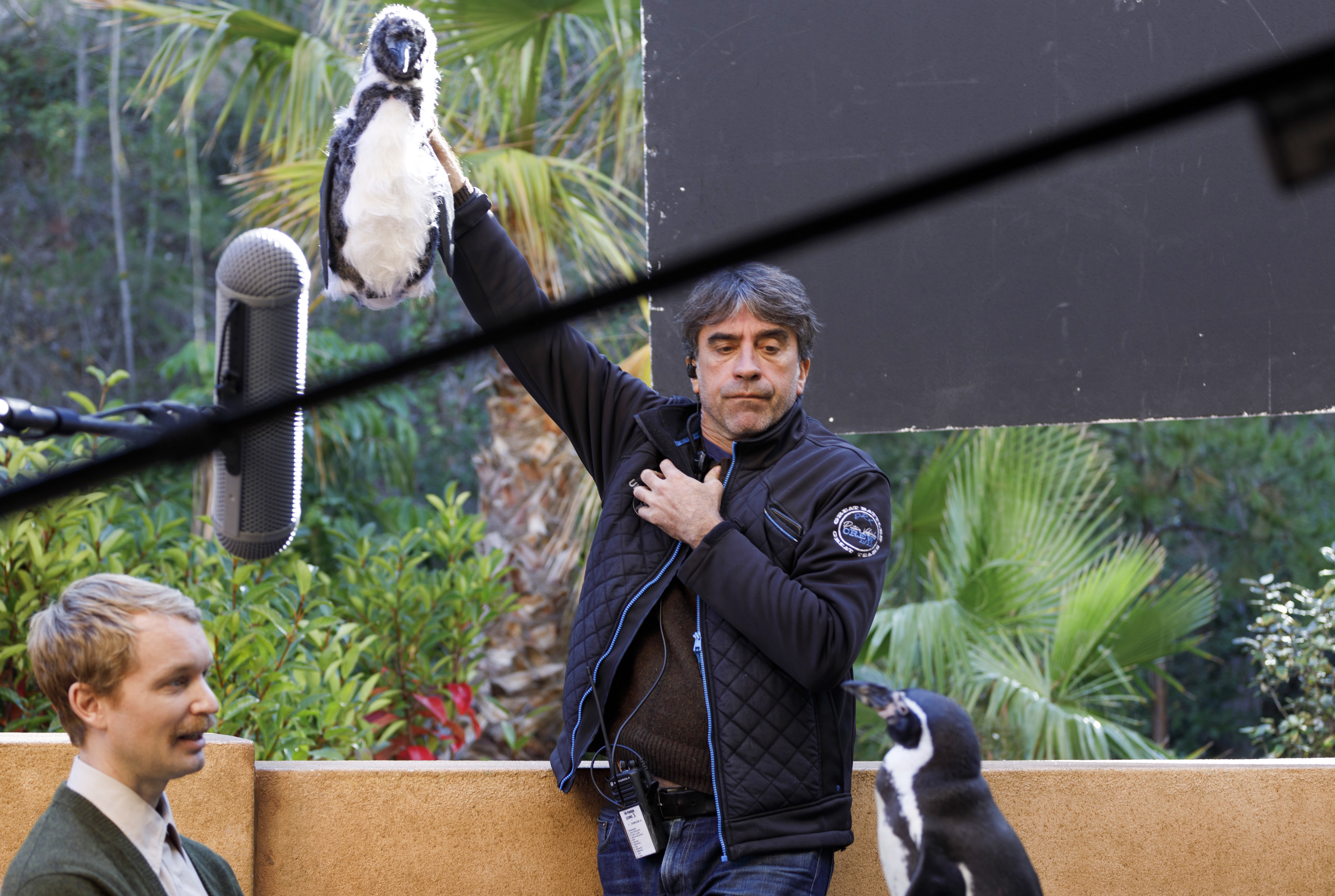 Wrong penguin, right wing: The Full Monty director casts accidental bird in botched pic of Argentine coup