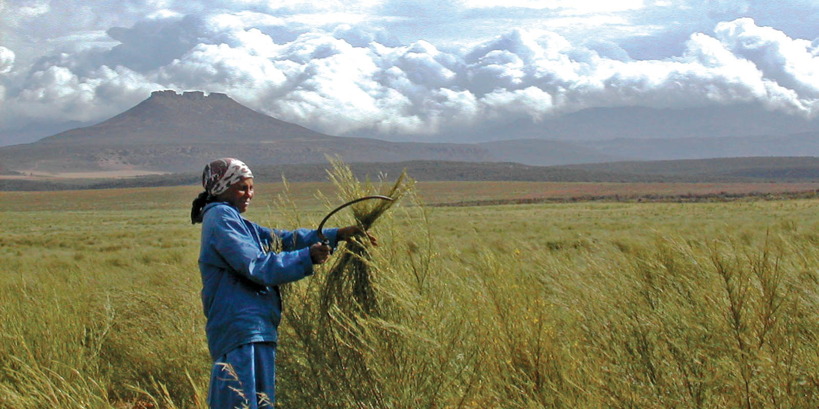How to brew a cup of South African business inspiration — with rooibos, espresso and a splash of hope