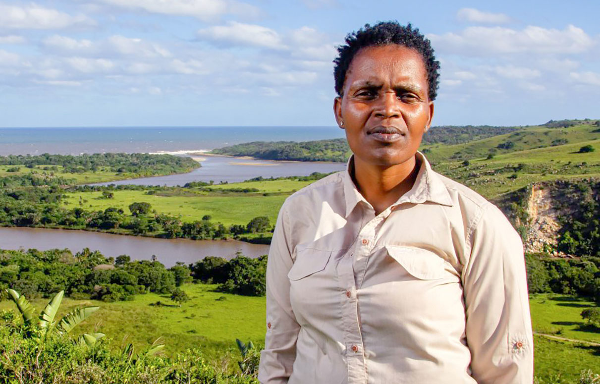 Makhanda High Court orders immediate halt to illegal Wild Coast building