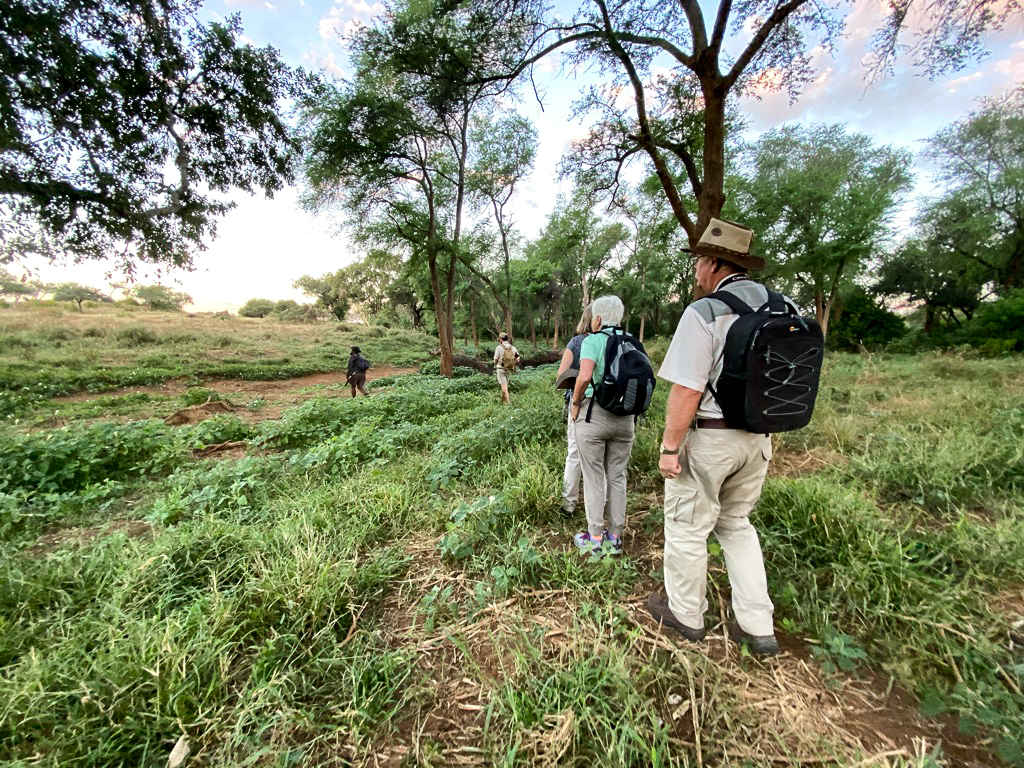 Two camps with walking trails in the Kruger: Different habitats and experiences