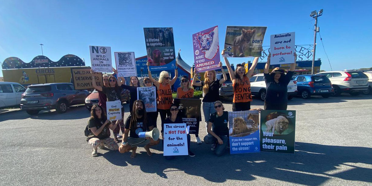 Protest at circus turns ugly as activist is hospitalised after assault