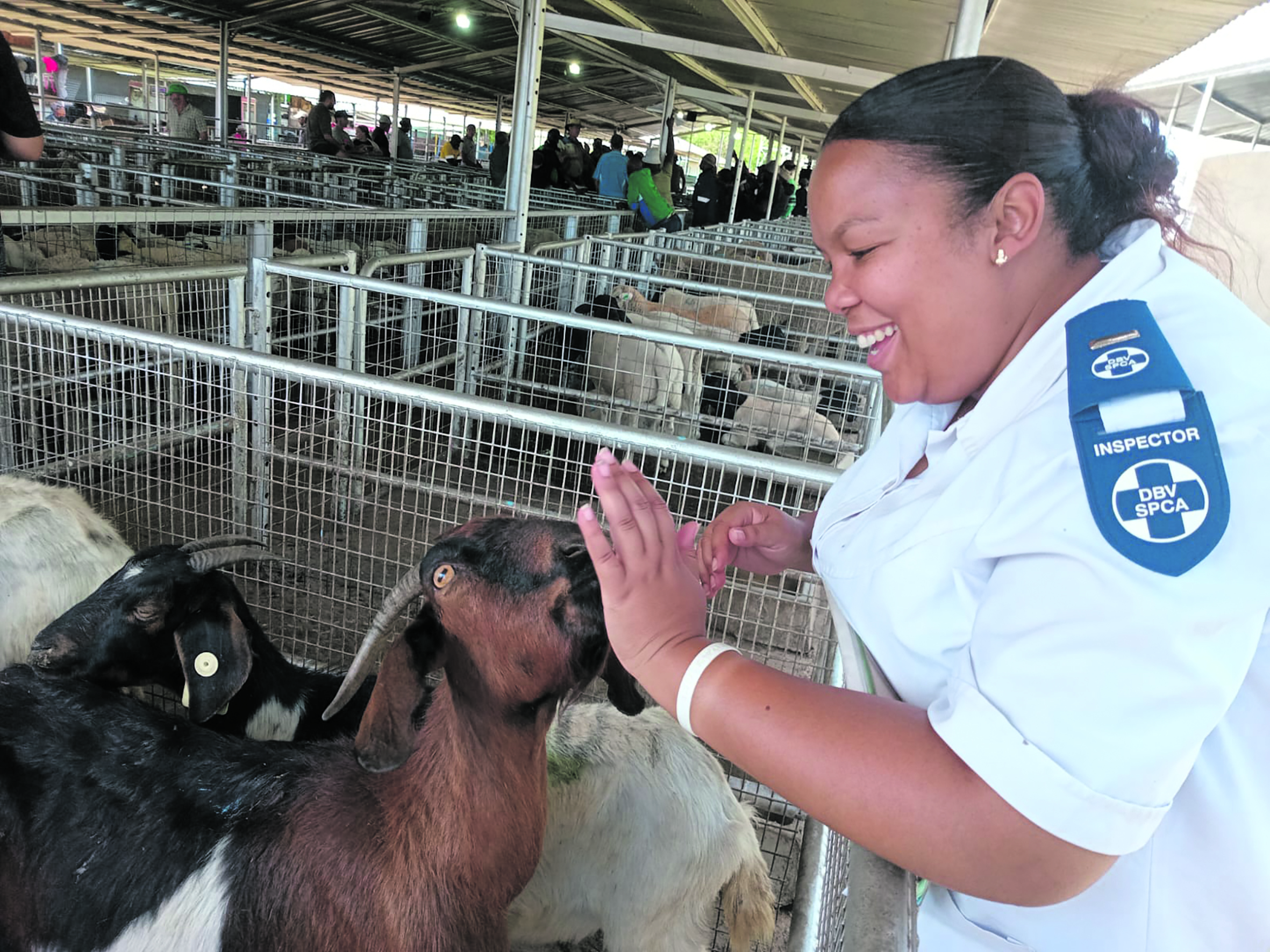 Compassion collides with cruelty — the suffering of animals and the toll on the woman who defends them