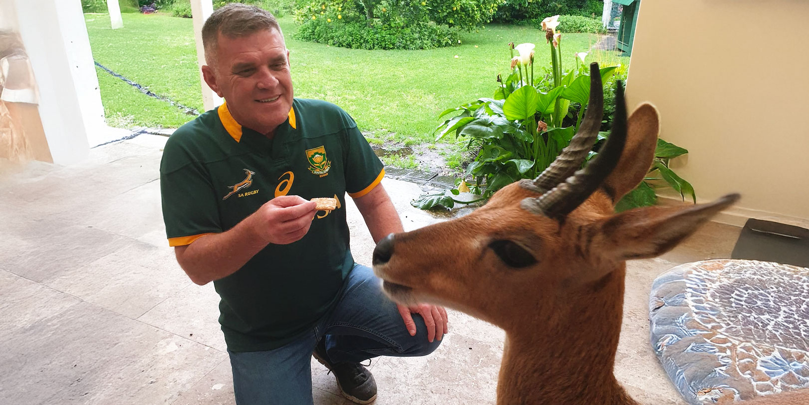 Player positions: Who’s who in the rugby team zoo?