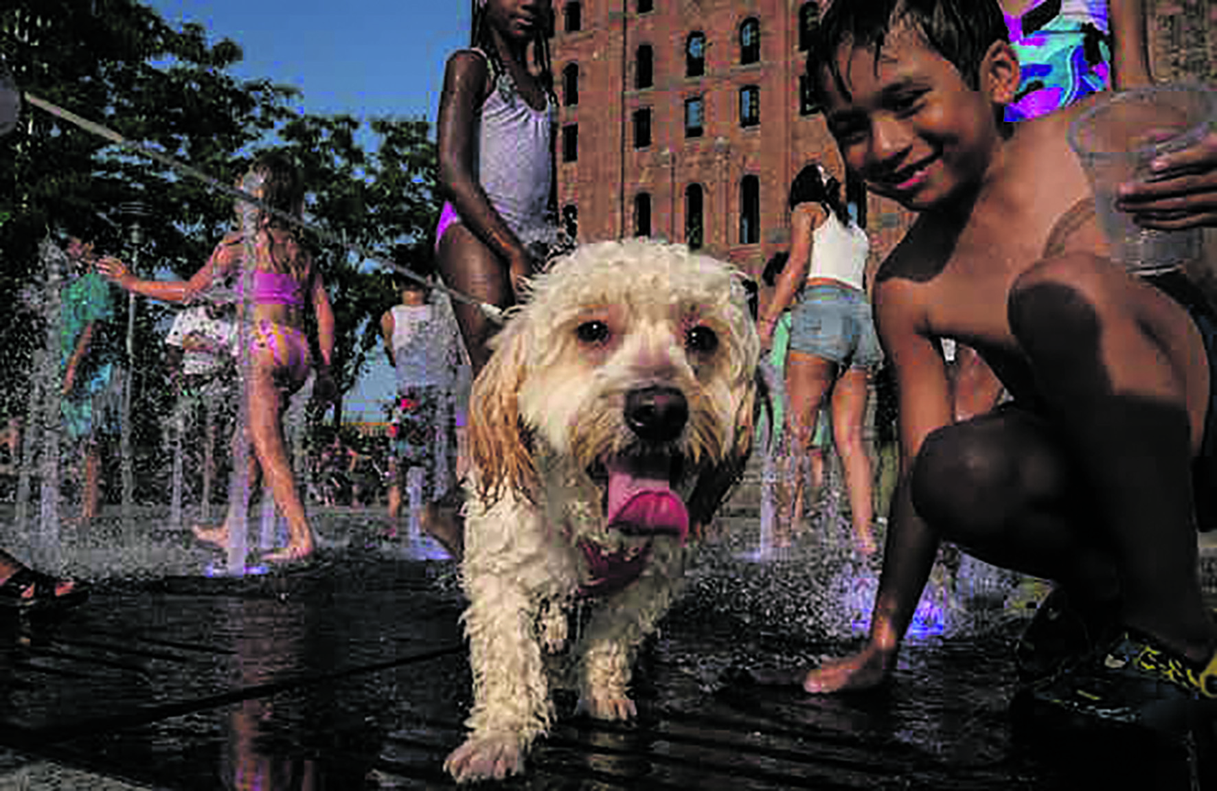 Curious kids: Why don’t humans have hair all over their bodies like other mammals?