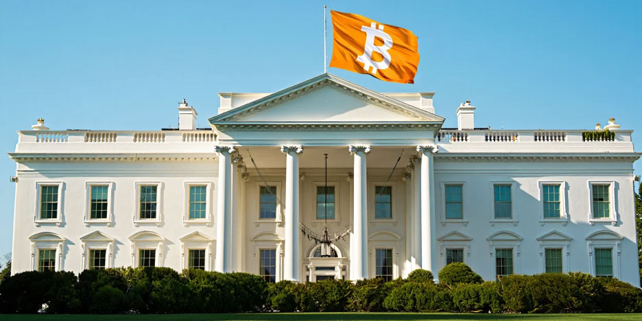 Crossed Wires: Meanwhile in the land of bitcoin — the rewards of legitimacy