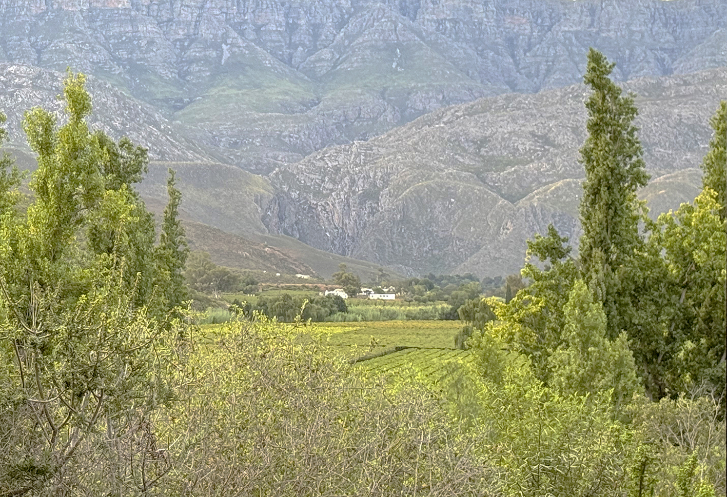 A hidden valley of wine beneath an enchanted mountain