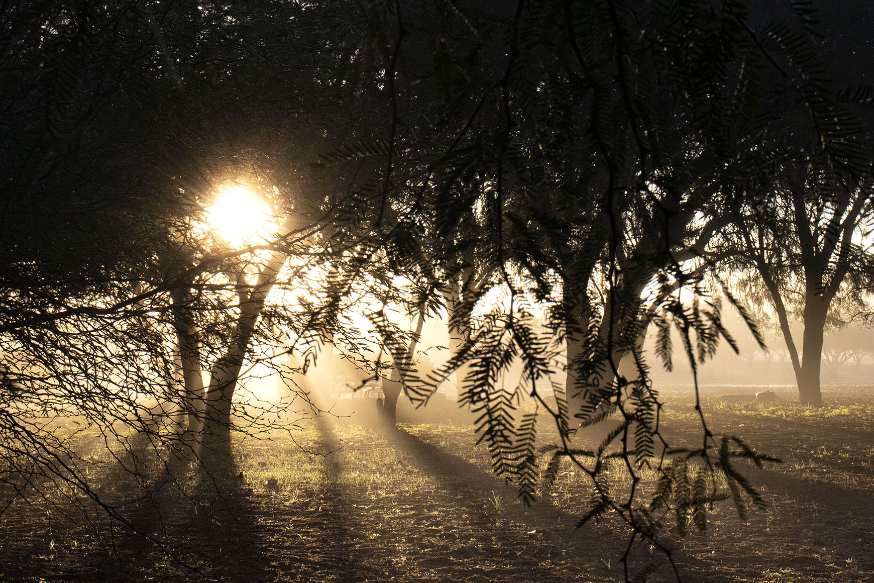 South Africa’s Drylands are being transformed through community-led conservation