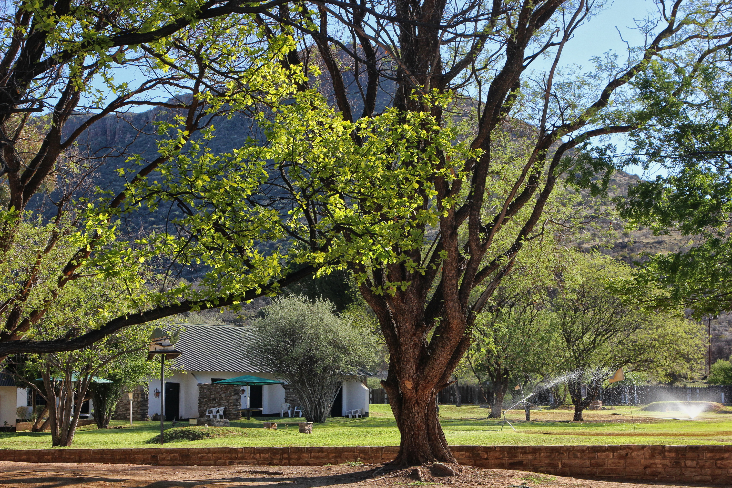 Karoo farmstays in the Eastern Cape: Off-the-grid adventures, history, and heart