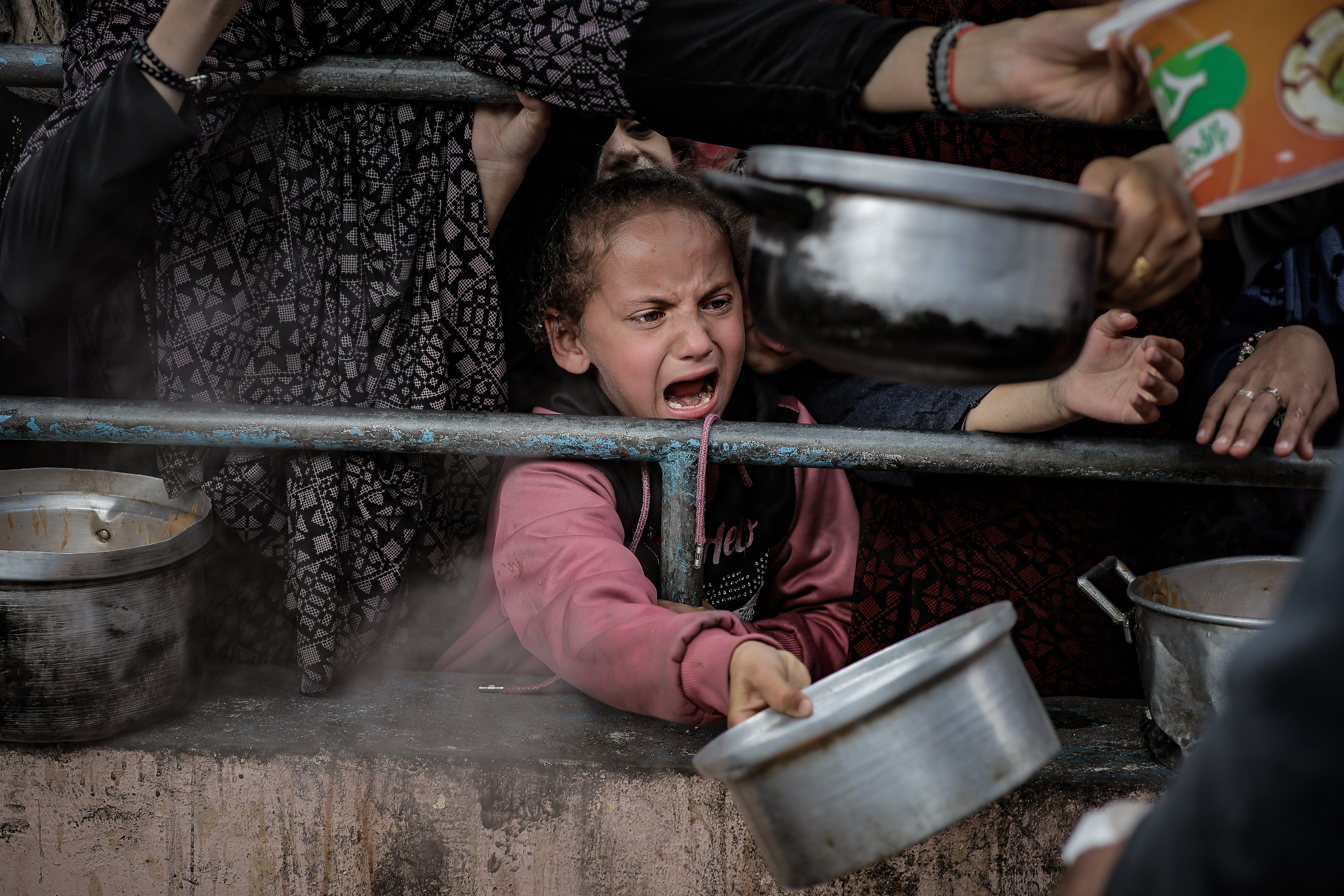 No aid supplies left, staff starves in Gaza, Norwegian Refugee Council says