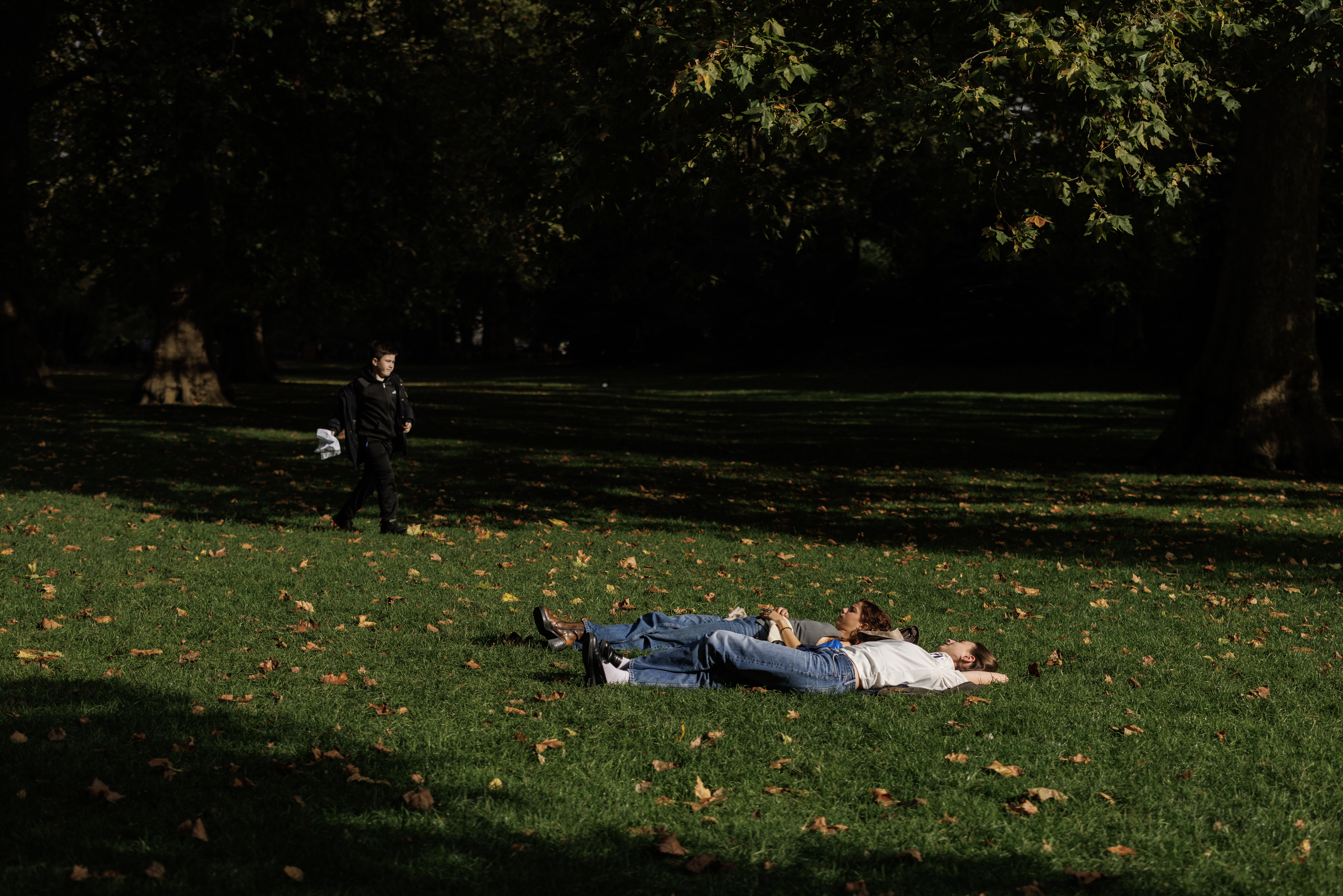 Daylight can boost the immune system’s ability to fight infections – new study