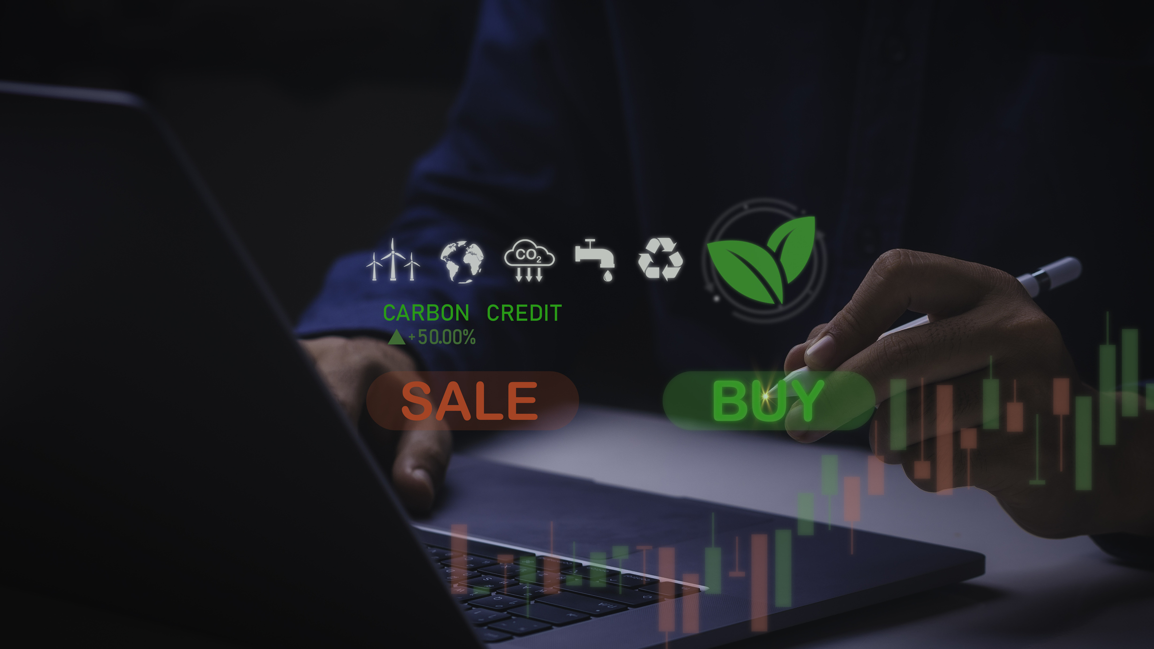 Novel carbon credits initiative gives Zimbabwe an edge, but concerns remain over cost barriers