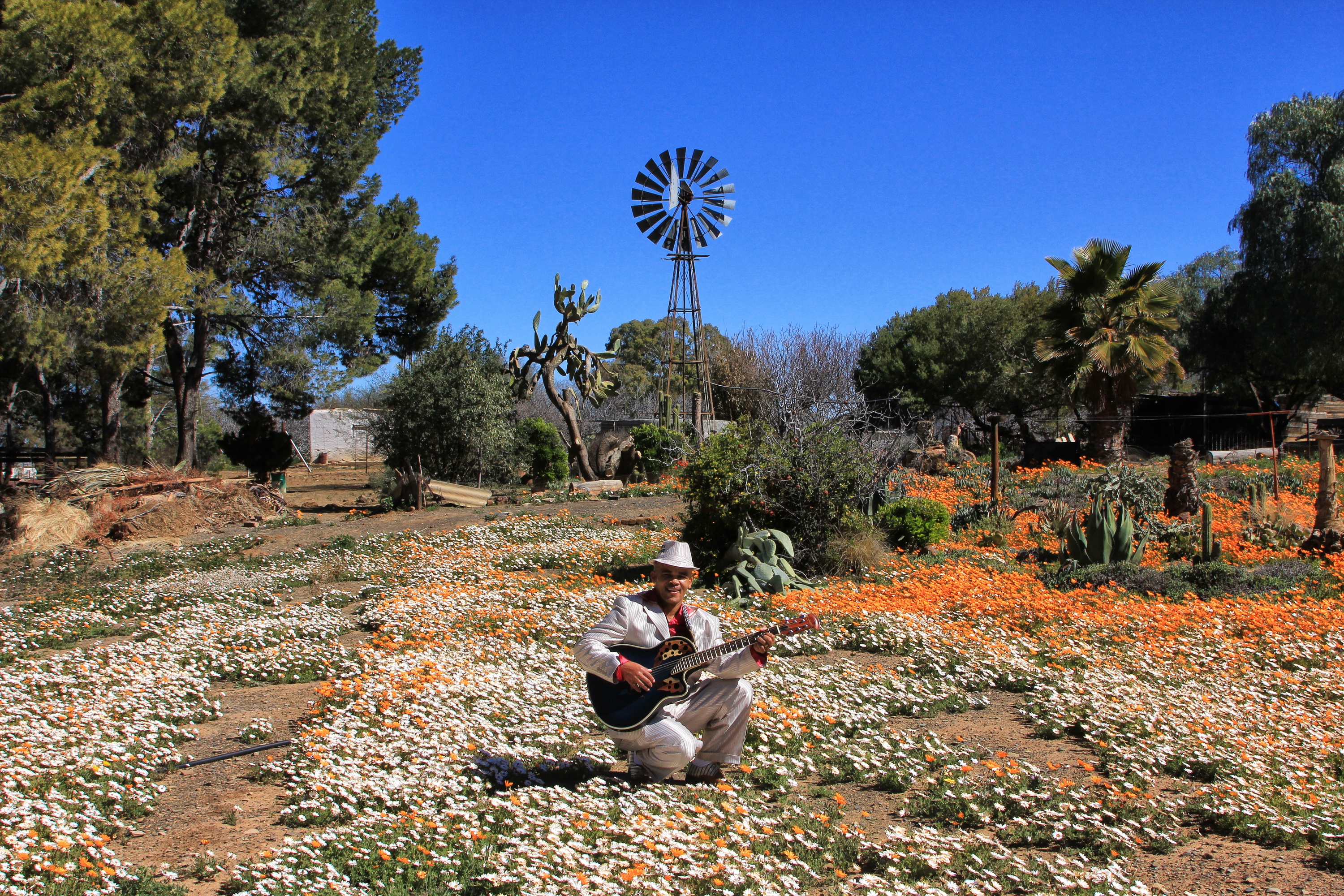 Discover Calvinia: A four-day journey through eccentric museums and breathtaking landscapes