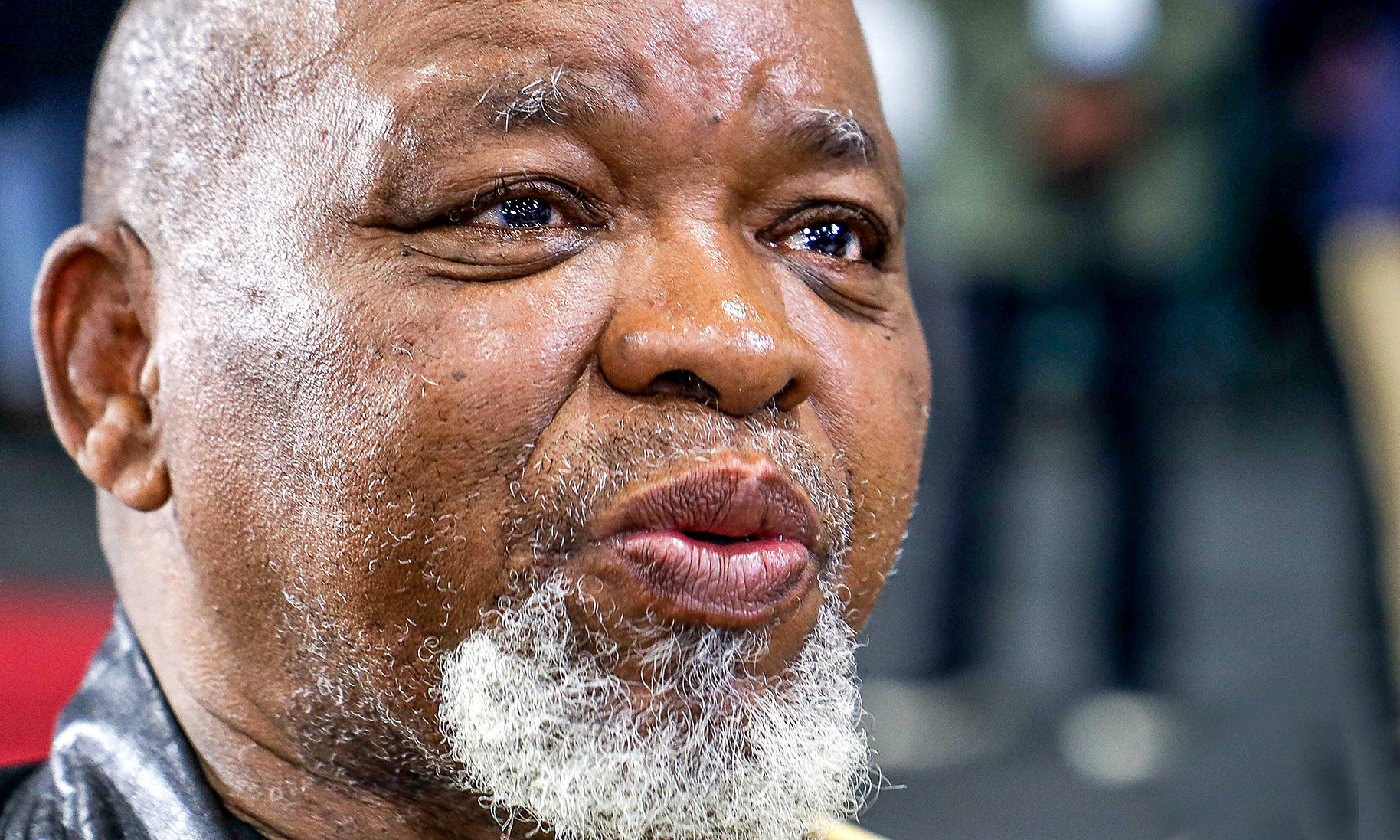 Loaded for Bear: Mantashe’s mining cadastre is rolling out at a geological pace