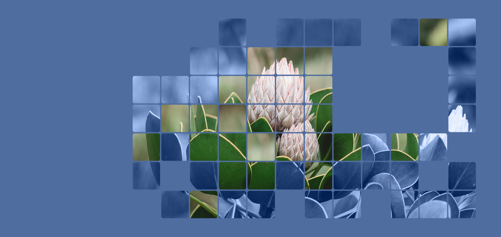 Your goals matter – find out how they help shape your investments