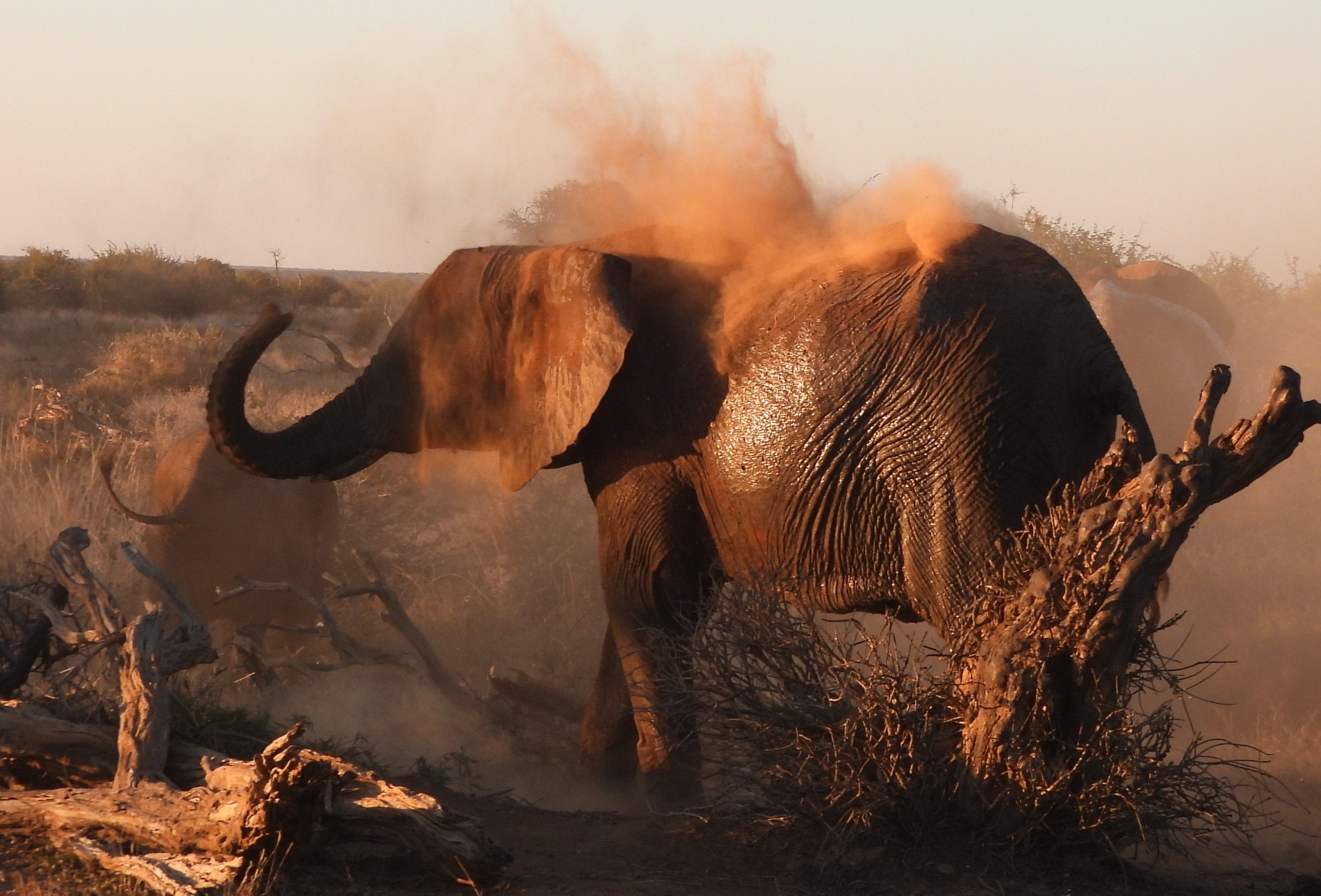 I have a picture for you! 28 June-04 July 2025