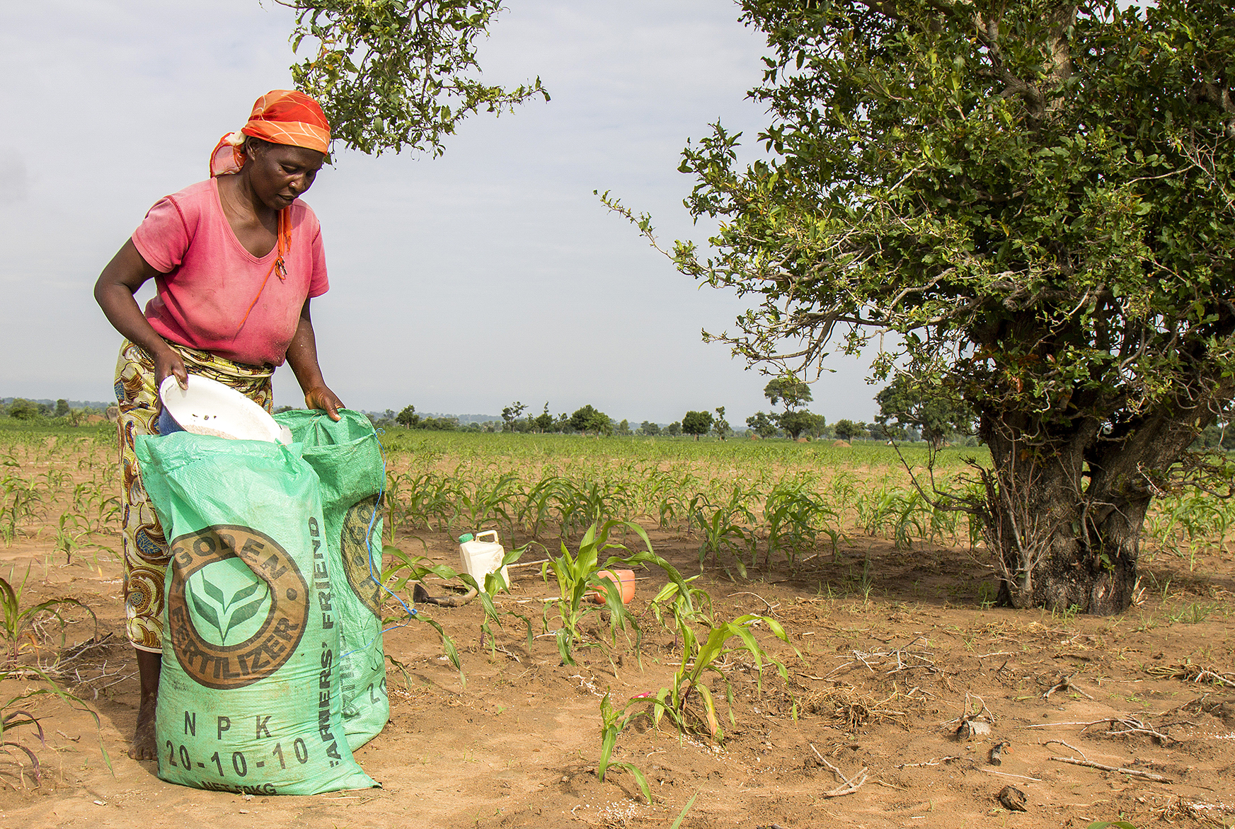 Lake Chad Basin governments should redouble efforts against terror group Iswap