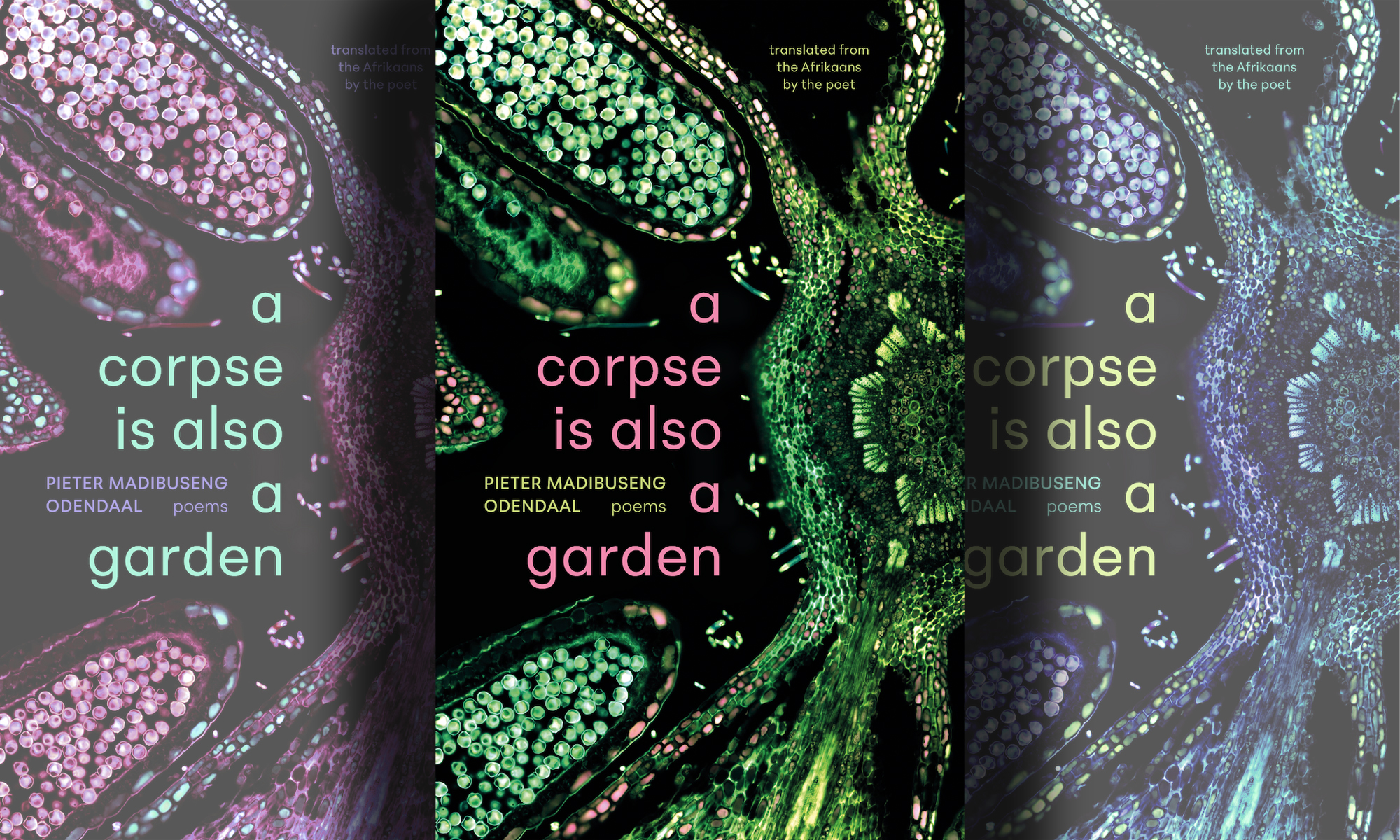 Experience the depth of SA life: Pieter Odendaal's poetry now accessible in English