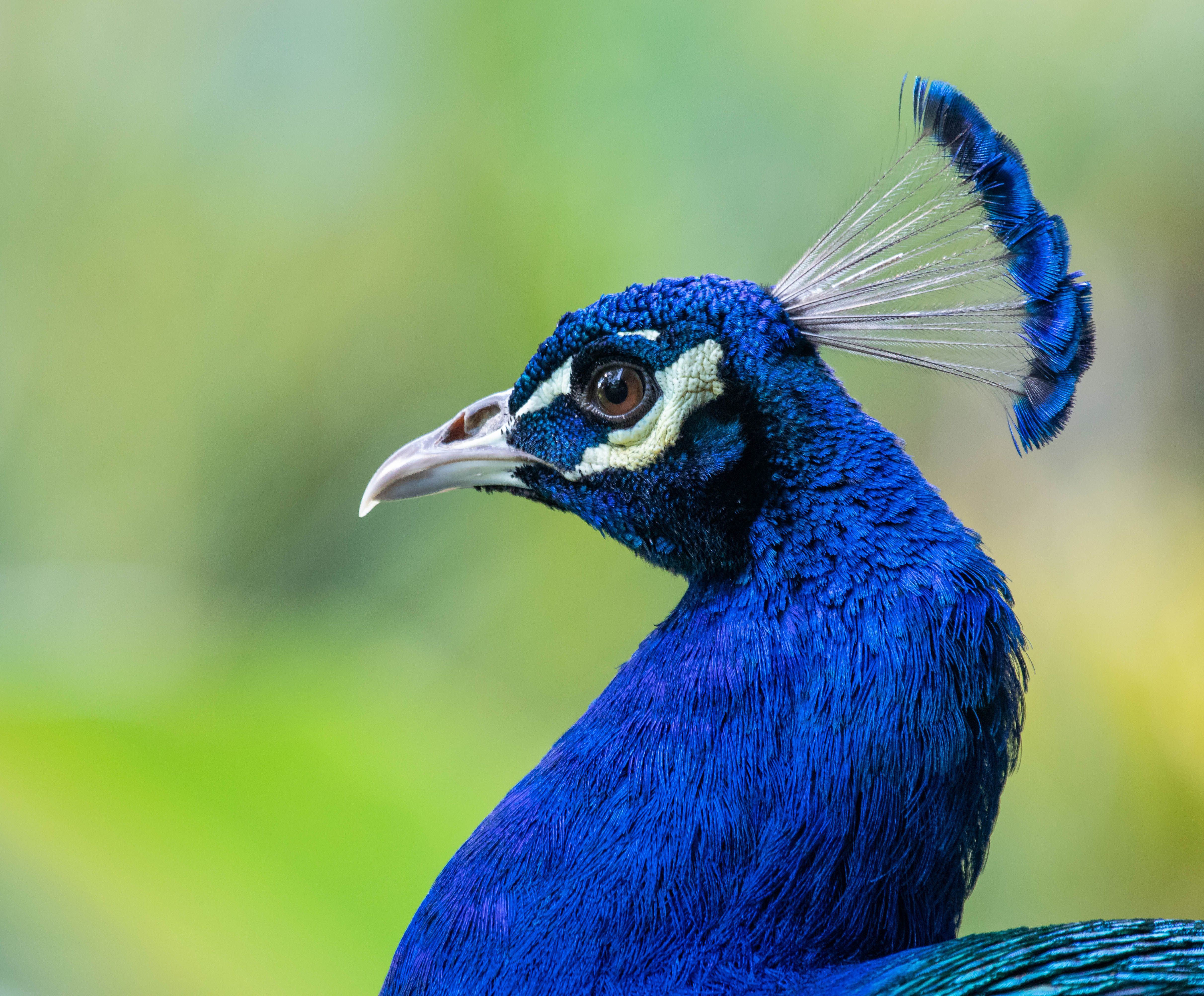 I have a picture for you! 05 July-11 July 2025