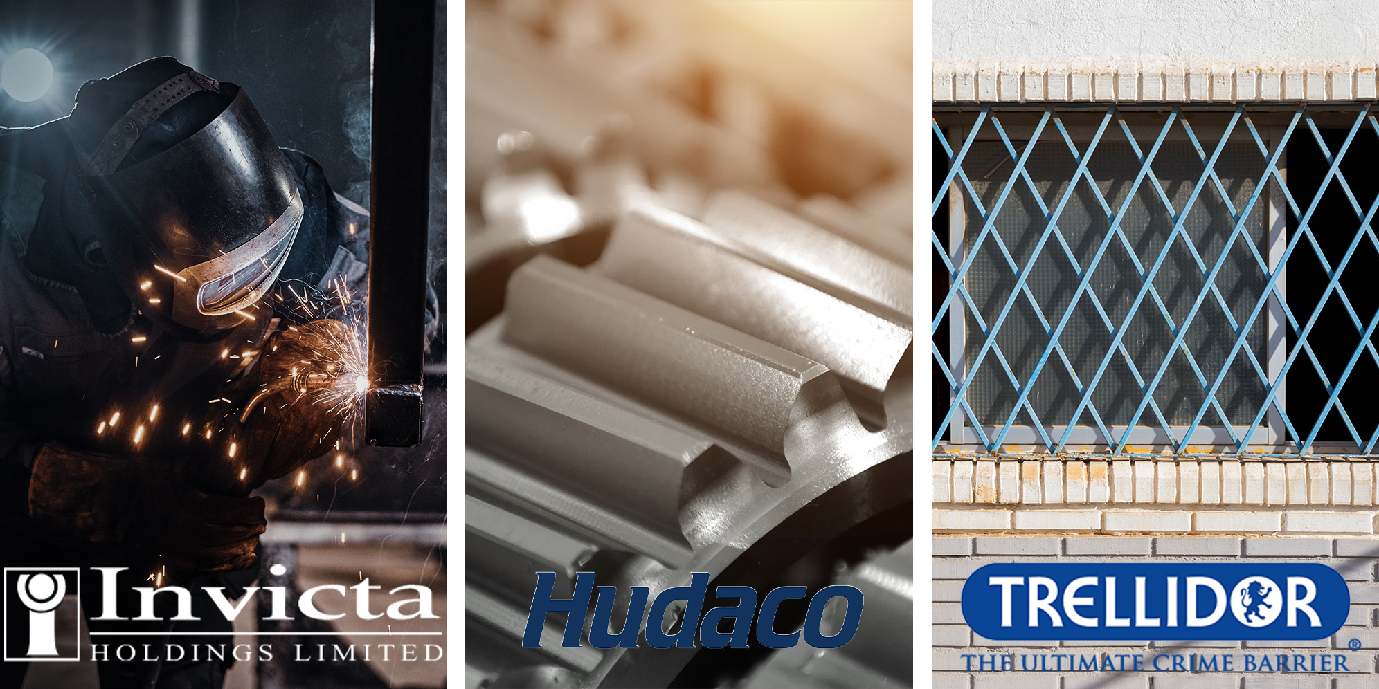 Braais, bearings and bargains in industrials - Invicta, Hudaco and Trellidor