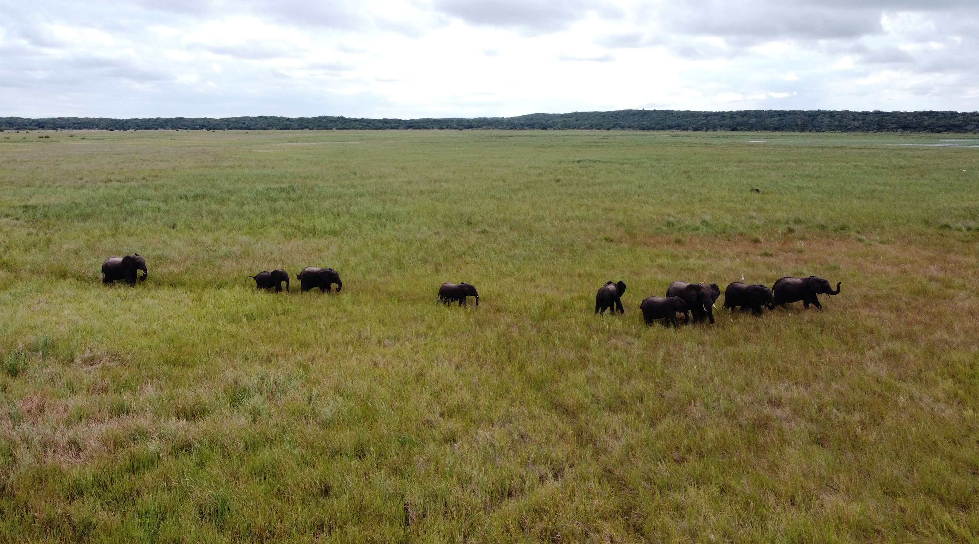 Maputo National Park declared a Unesco World Heritage Site