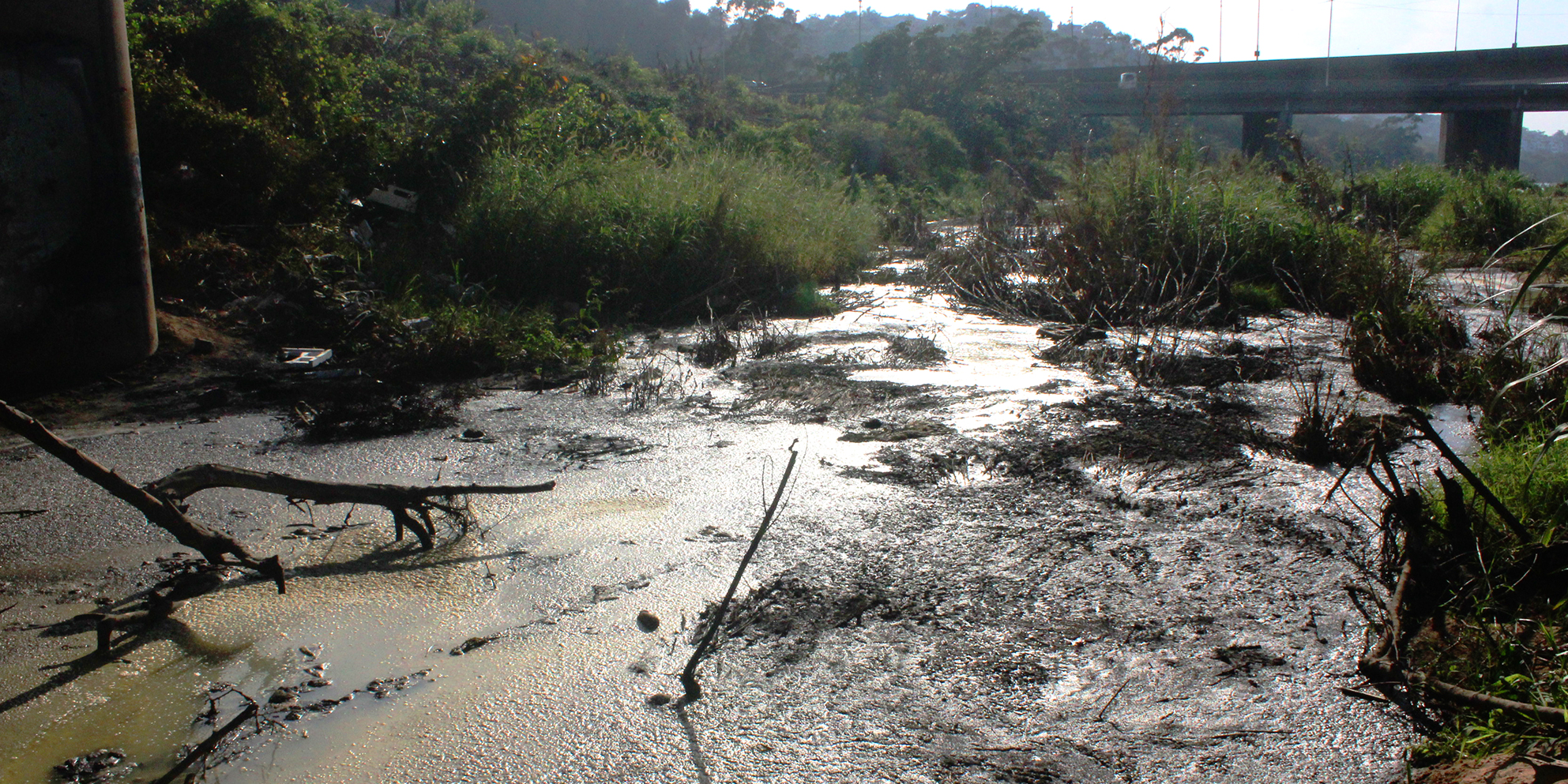 eThekwini sewage management crisis: DA challenges city's excuses in court