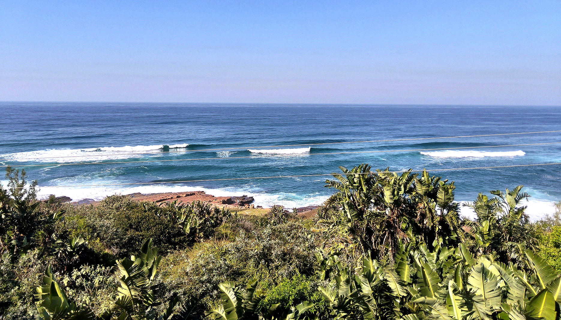 People of Pennington: Tidy Towns pulls South Coast town into competition finals