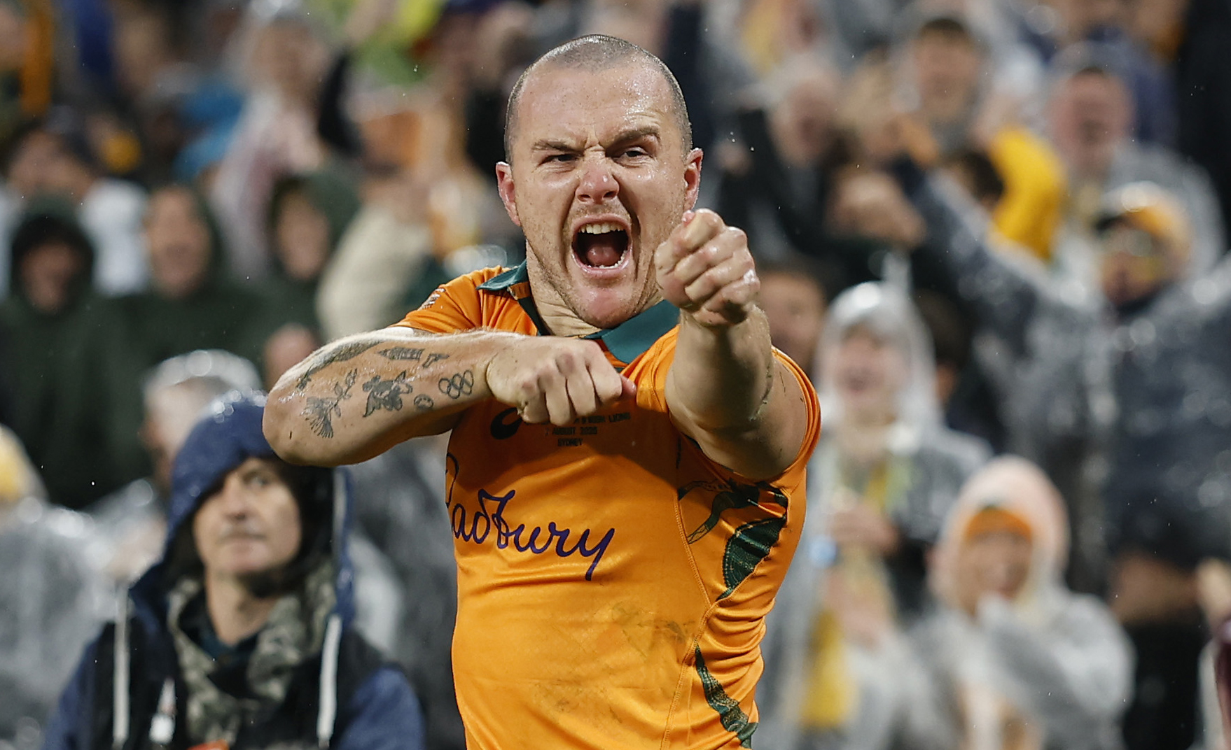 Green shoots of Wallaby revival will be tested by the Springboks