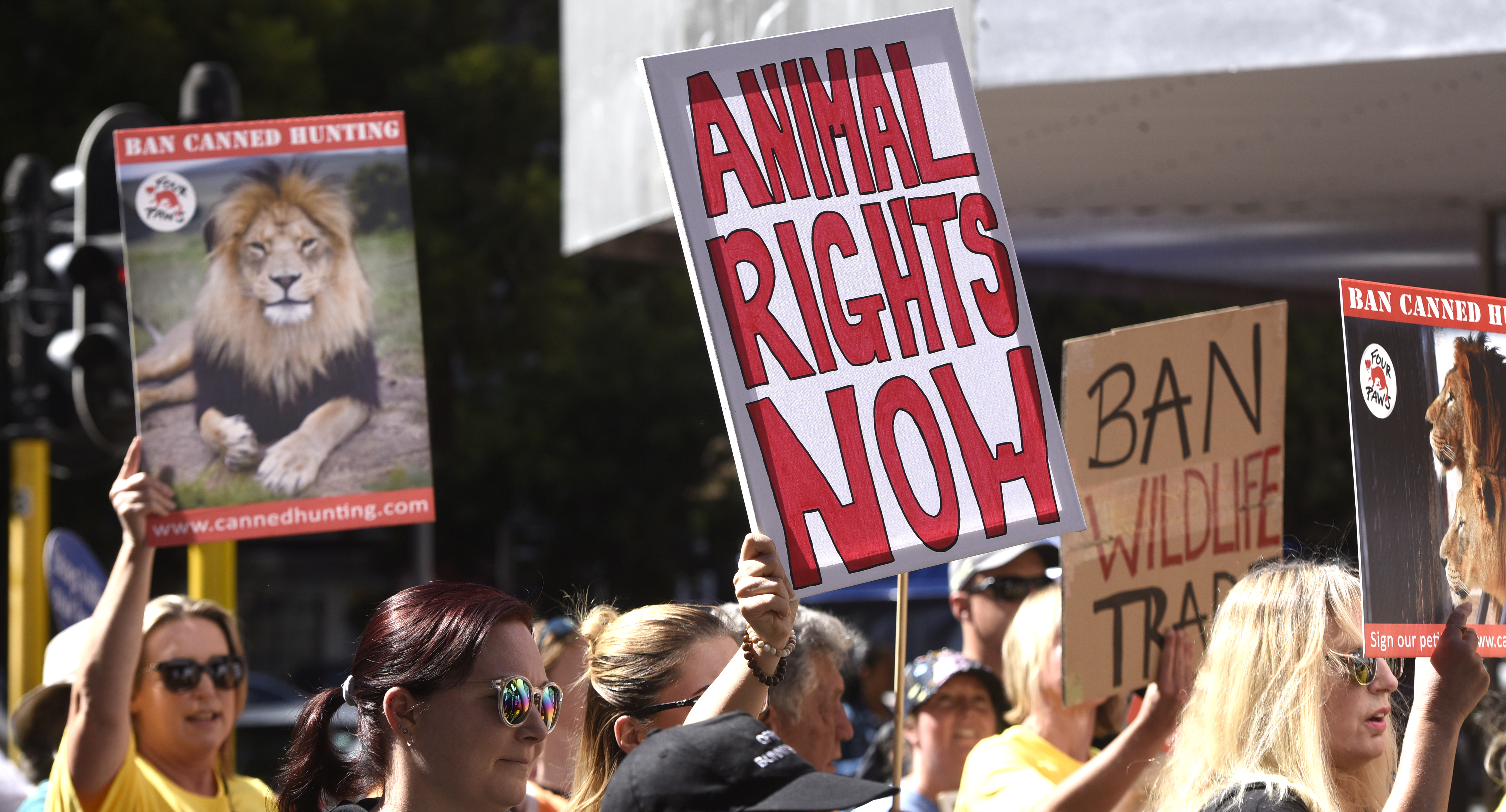 SA’s trophy hunting quotas spark legal battles and civil society backlash