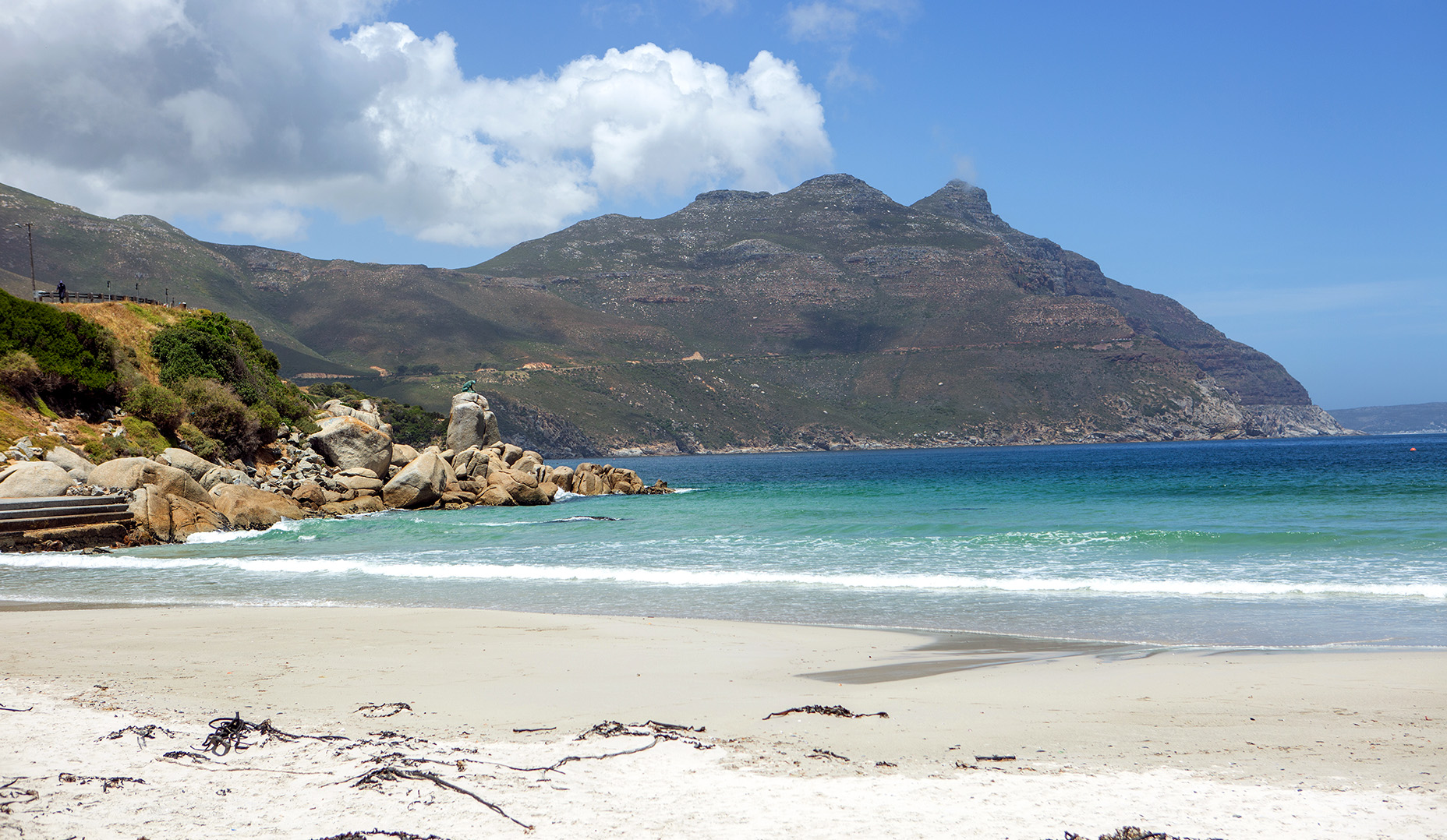 Hout Bay mussels contaminated with hidden toxins and sewage – study