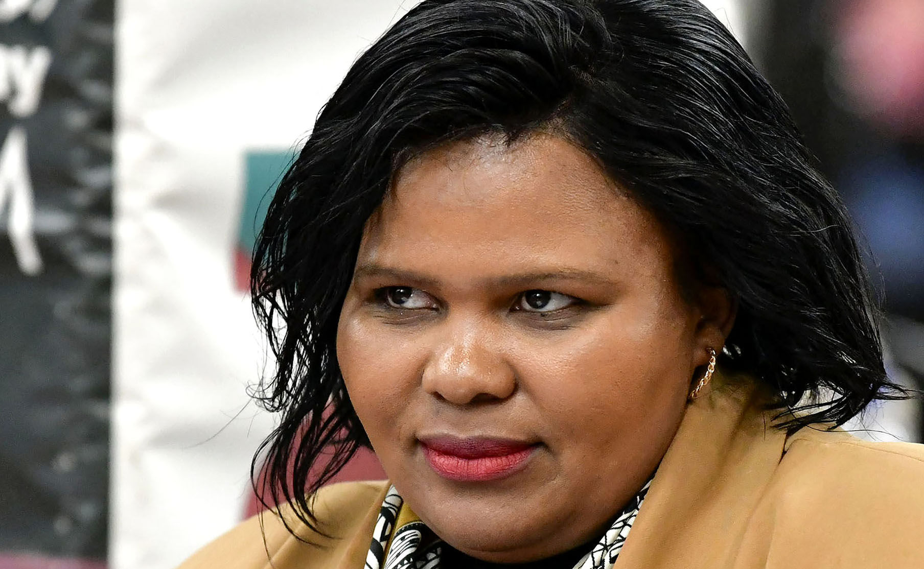 Mayor upbeat about Nelson Mandela Bay crime plan – despite admission that there’s no money