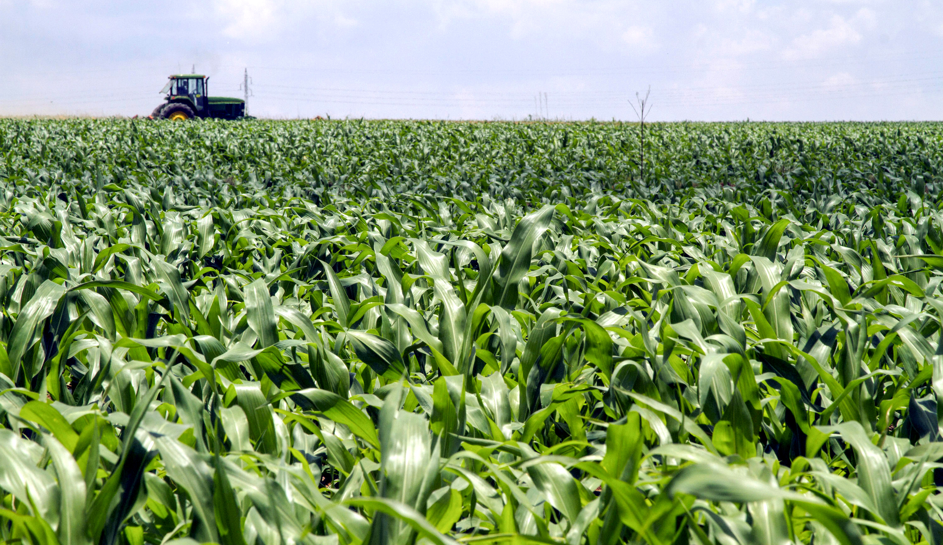 Bad news for farmers as dry spring forecast for most of SA