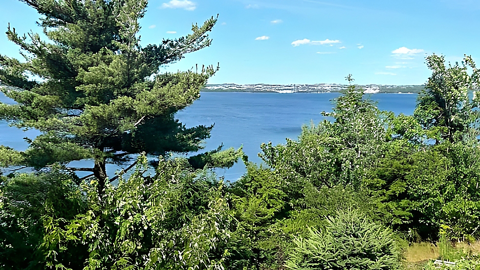 Loaded for Bear — bans on entering the woods in eastern Canada are signs of the climate crisis