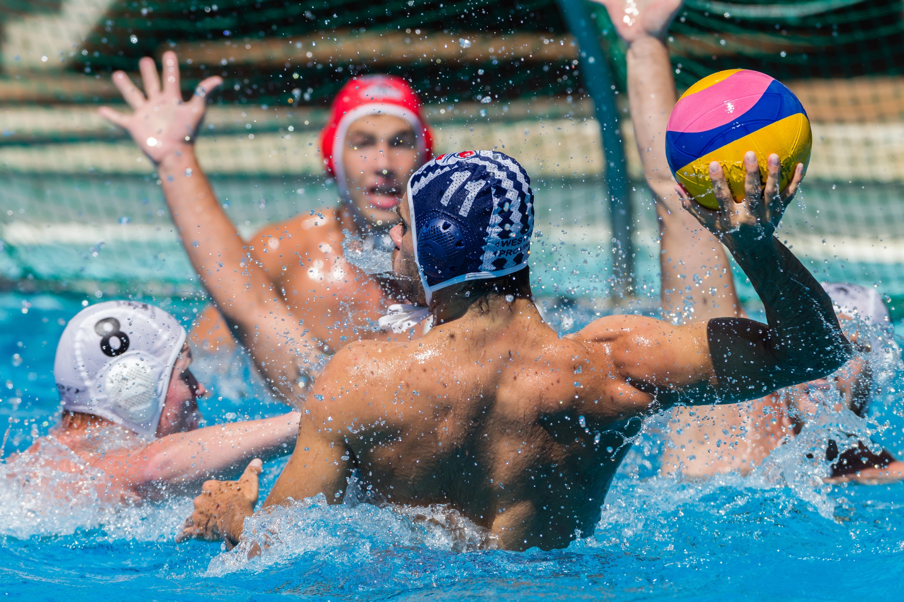 Top-flight water polo returns with new national franchise tournament