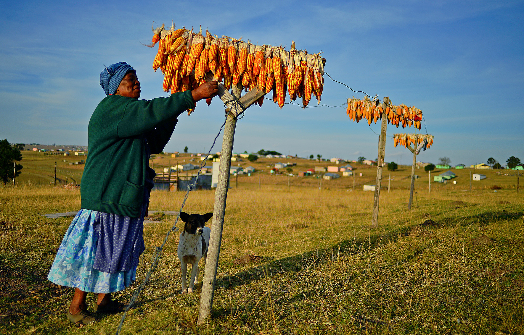 Eastern Cape households reliant on subsistence farming ‘vulnerable to food insecurity’
