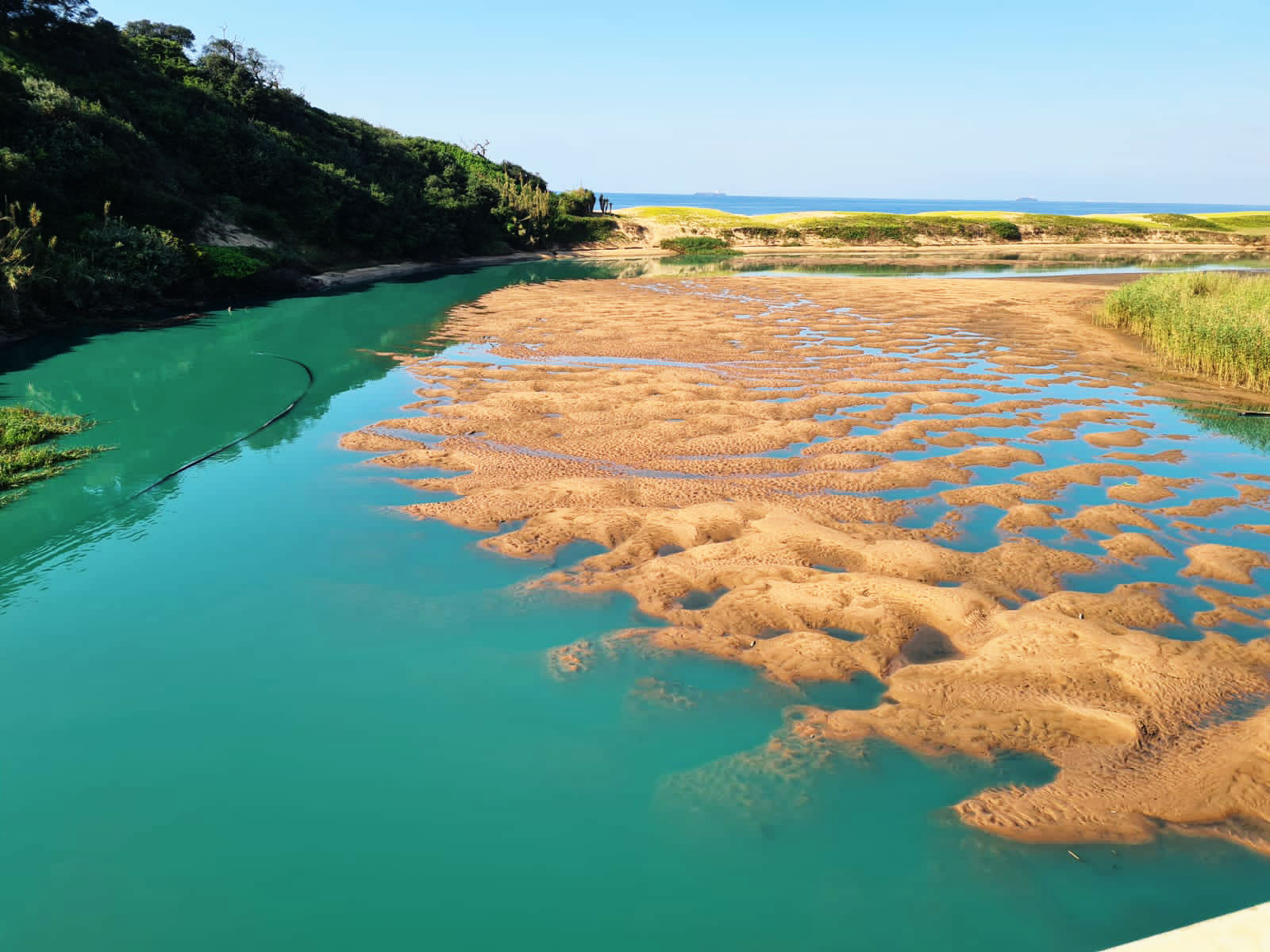 UPL lawyers fight NPA prosecution decision on Durban chemical blaze