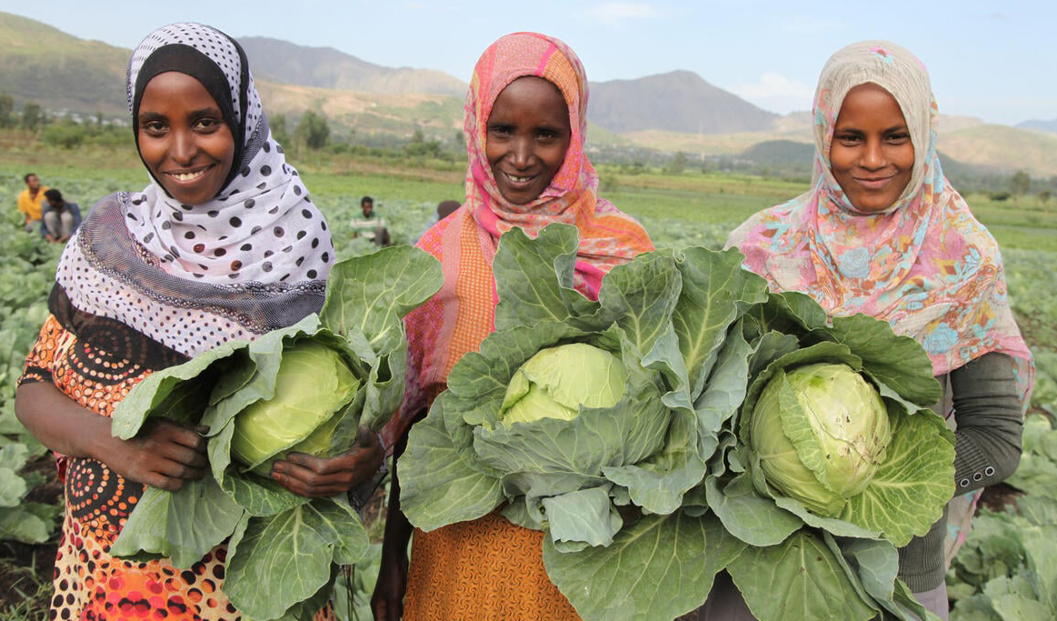 Africa takes center stage as UN summit highlights urgency of global food transformation
