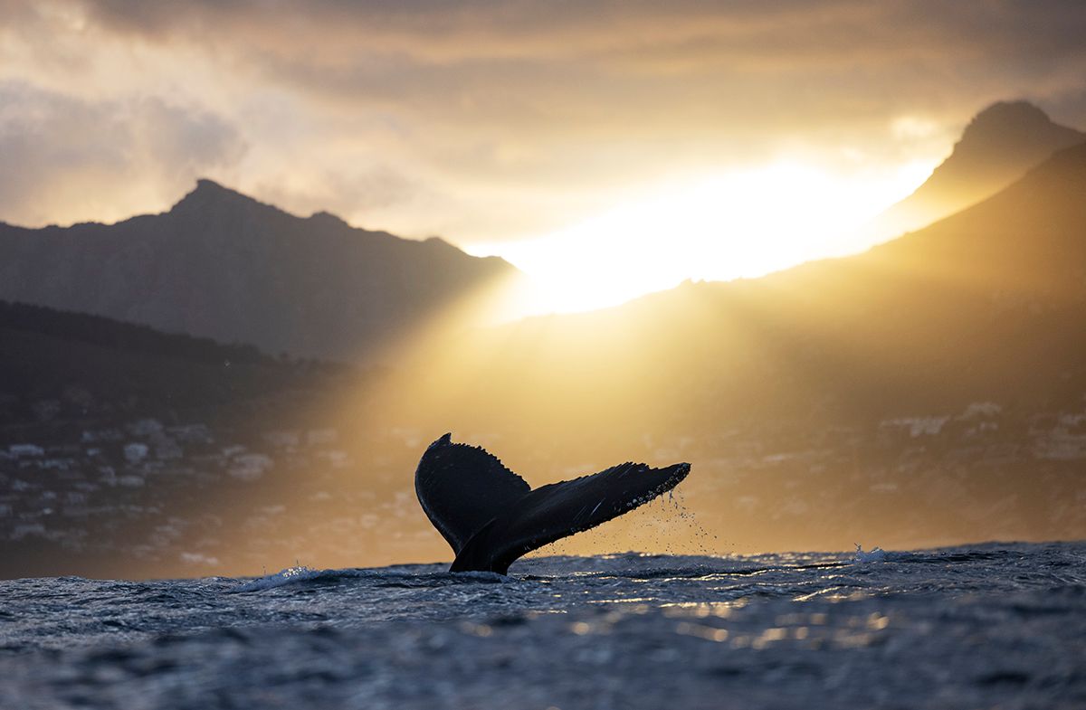 I have a picture for you! 20 September-26 September 2025