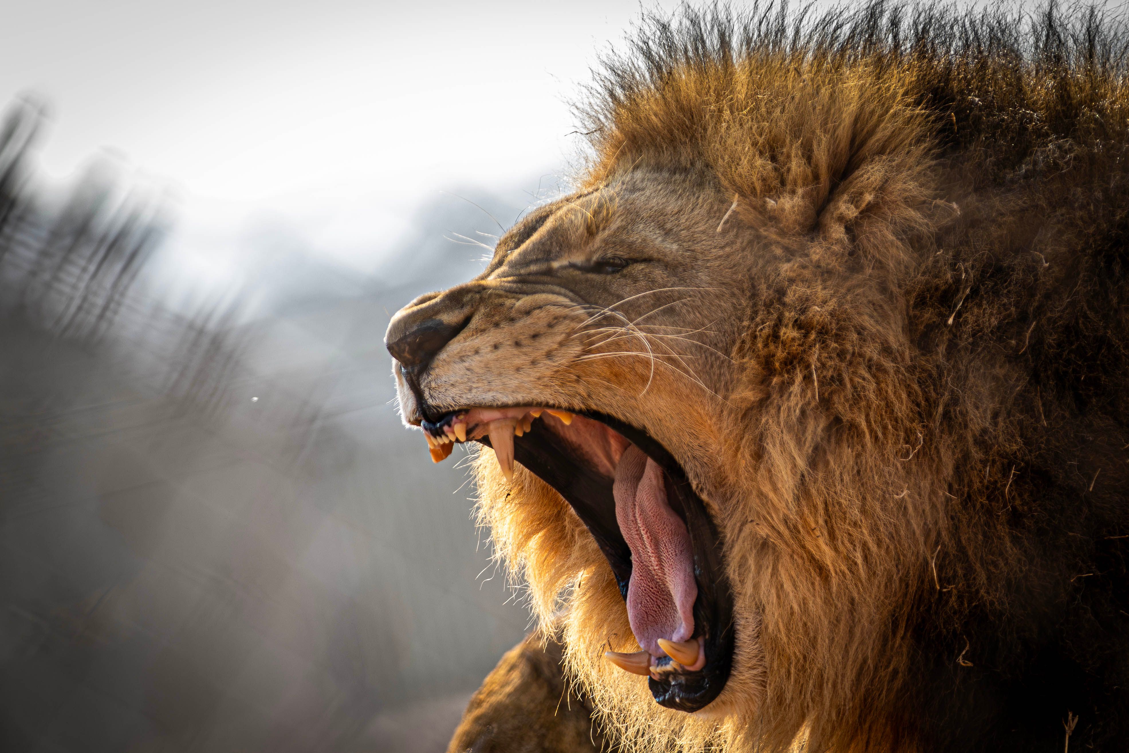 I have a picture for you! 30 August-05 September 2025