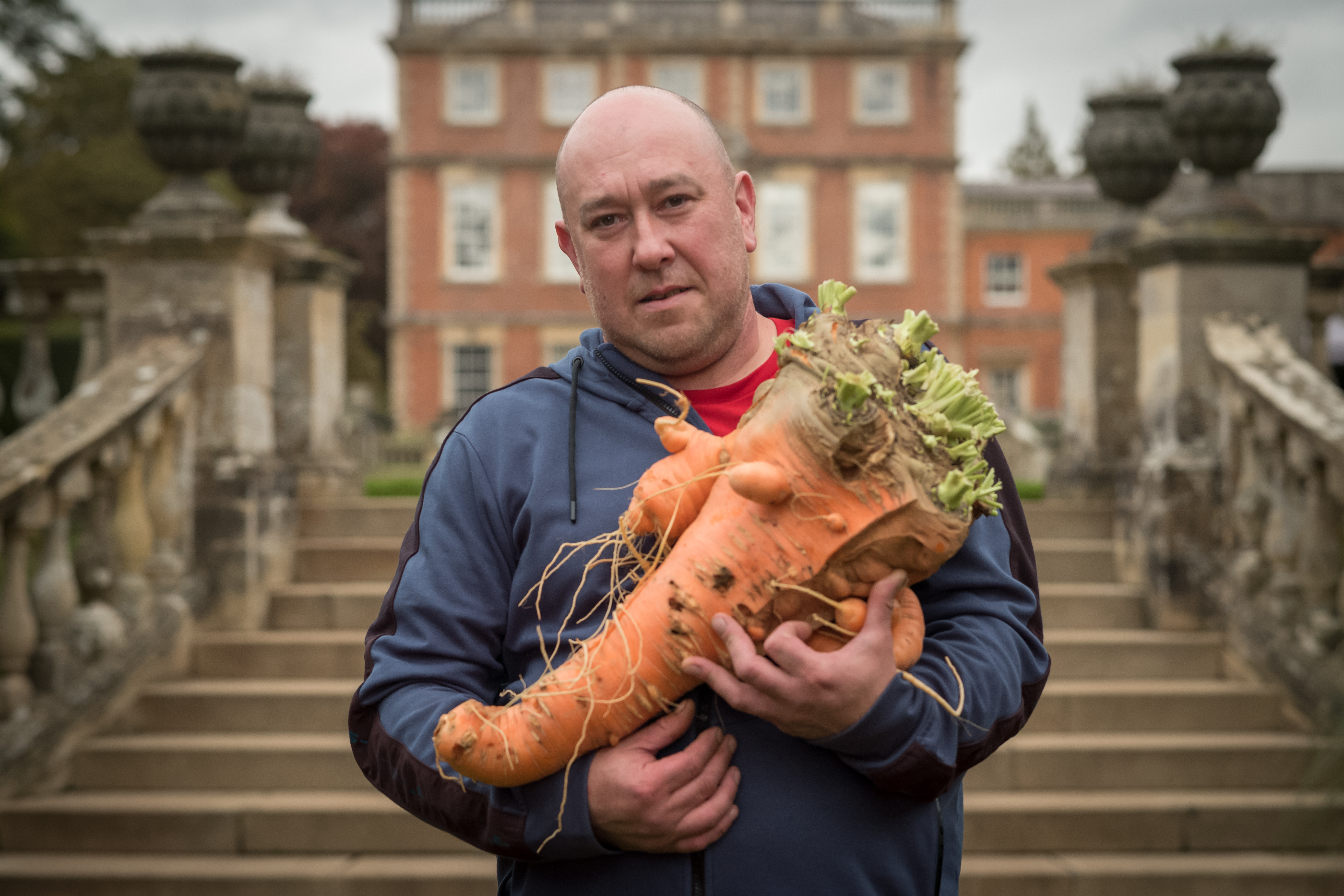 Harrogate Autumn Flower show, and more from around the world