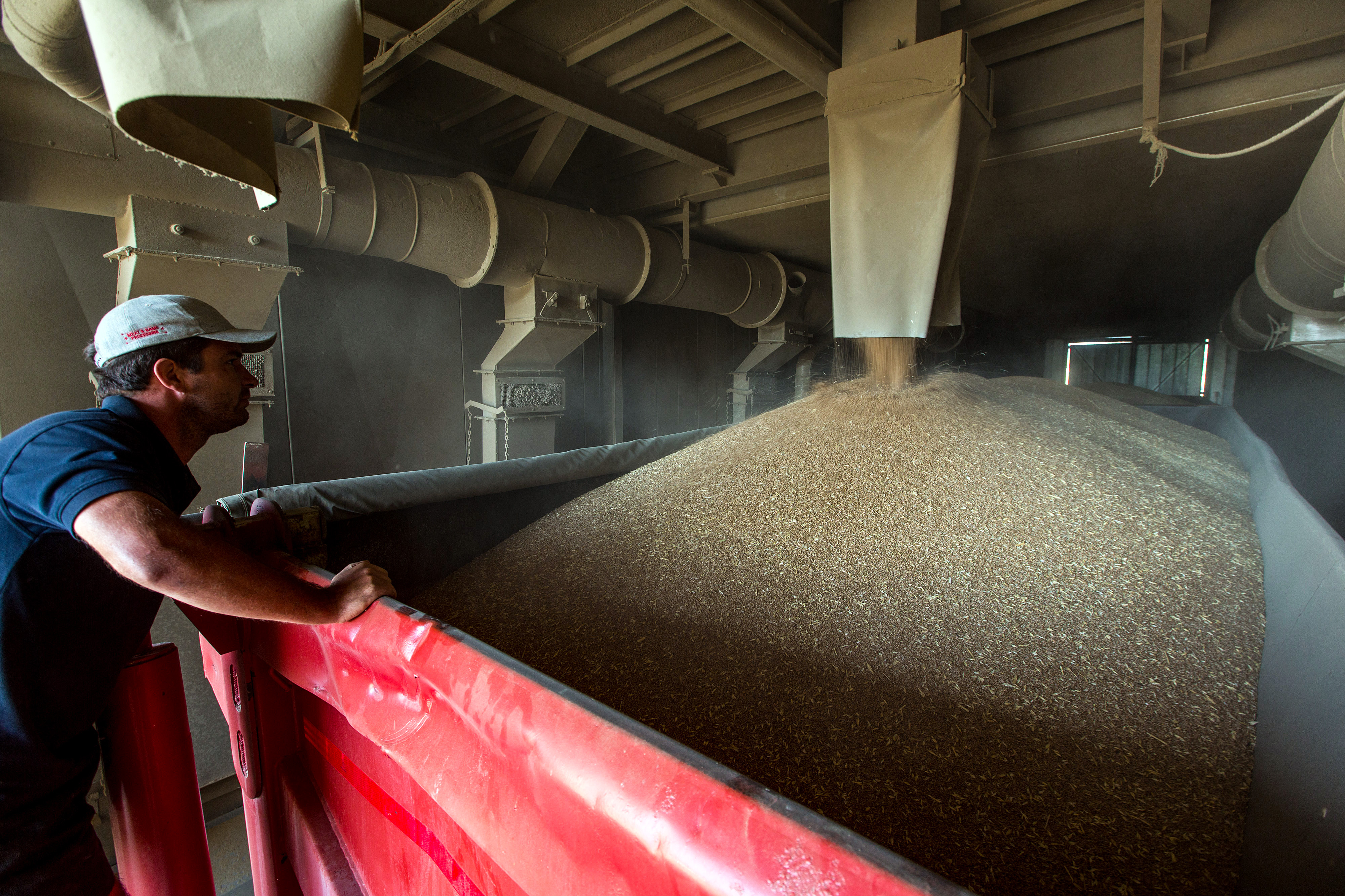 Buffer stocks can help protect poor South Africans against food price shocks, say economic researchers