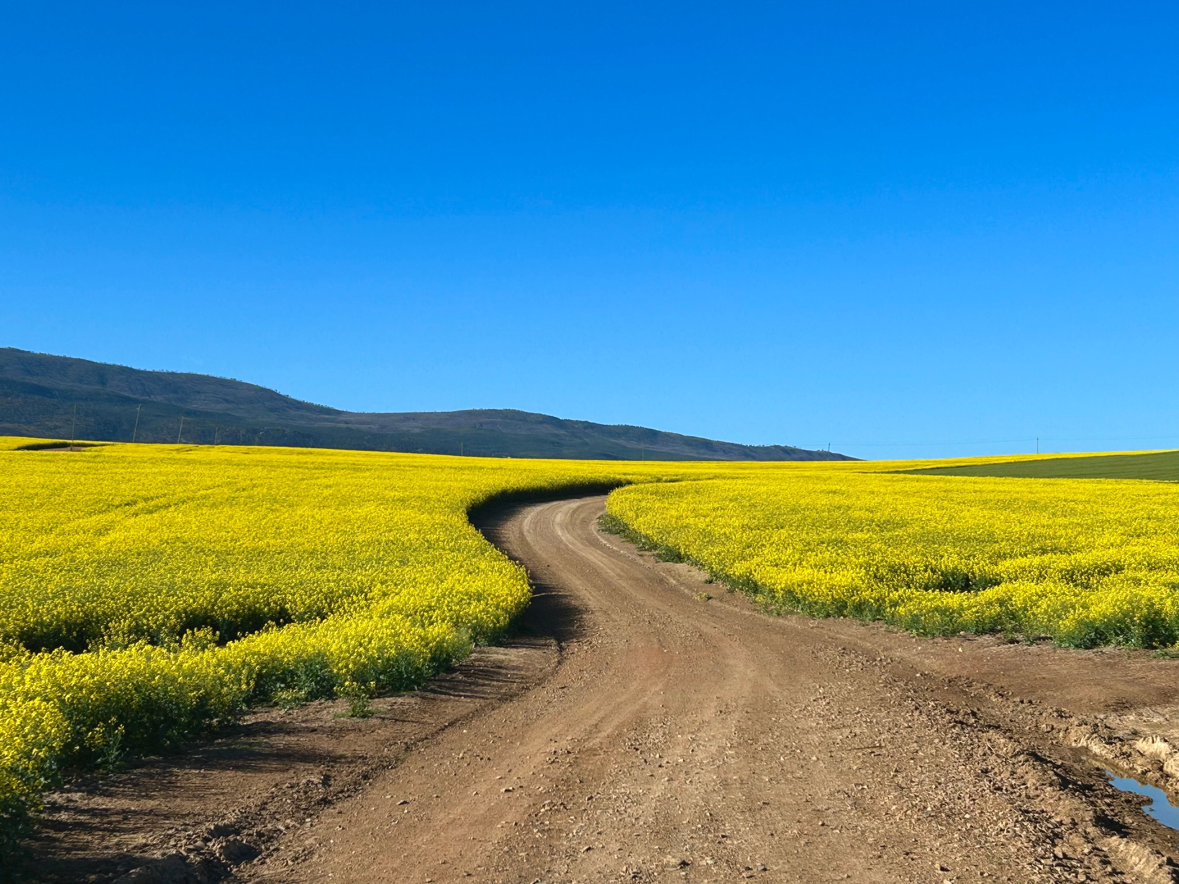 I have a picture for you! 14 September-19 September 2025