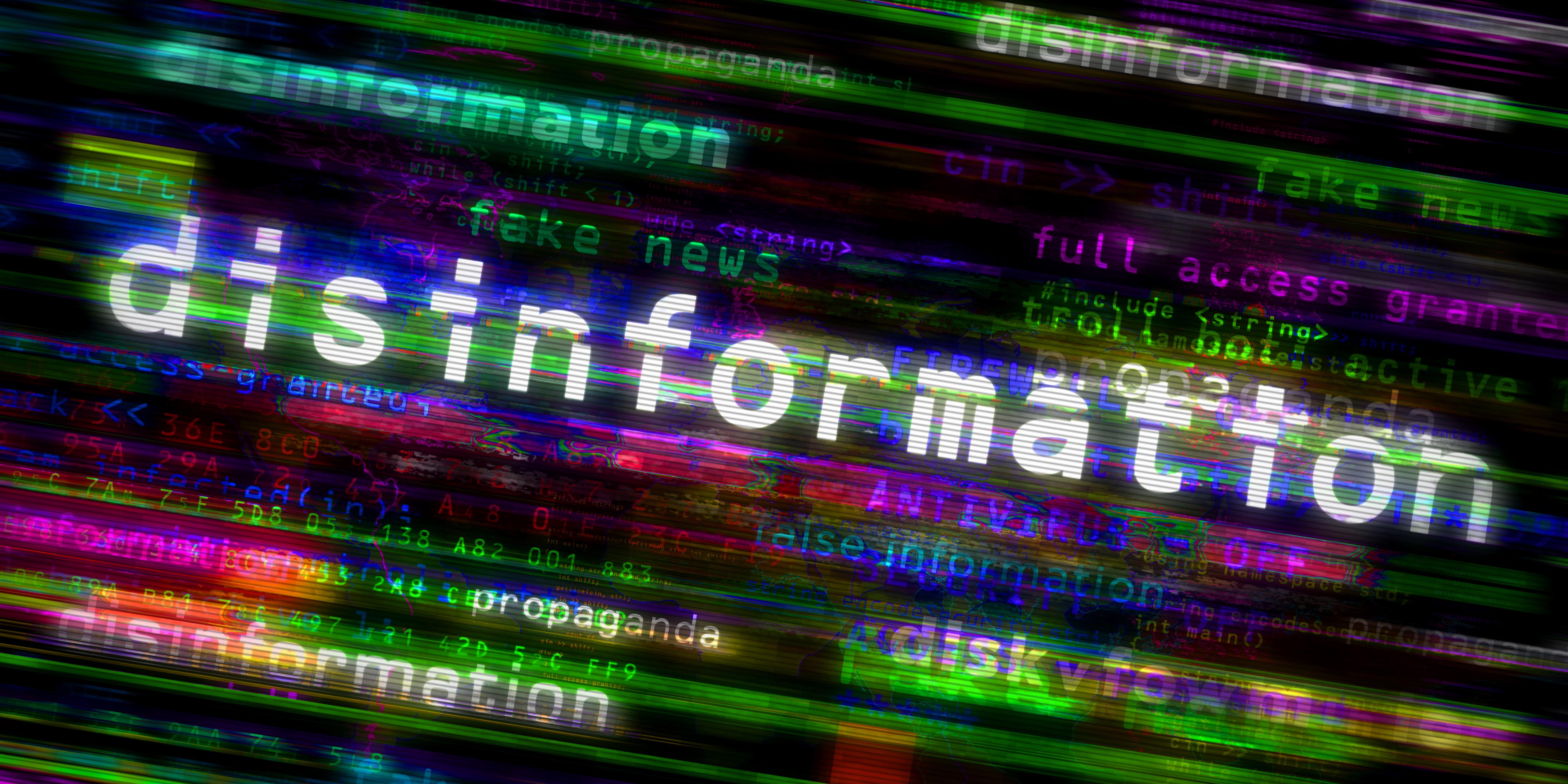 Violation of rights through disinformation campaigns is a grave threat to democracy