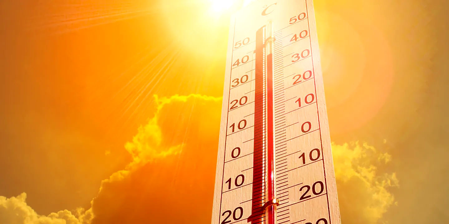 Has Joburg skipped spring? Scientists explain why it feels like winter turned straight into summer