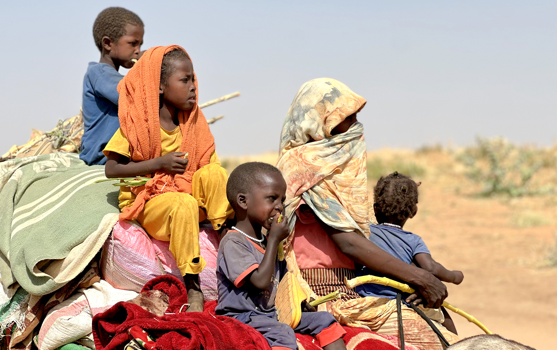 El Fasher descends into chaos with UN reporting mass killings and unprecedented human rights violations