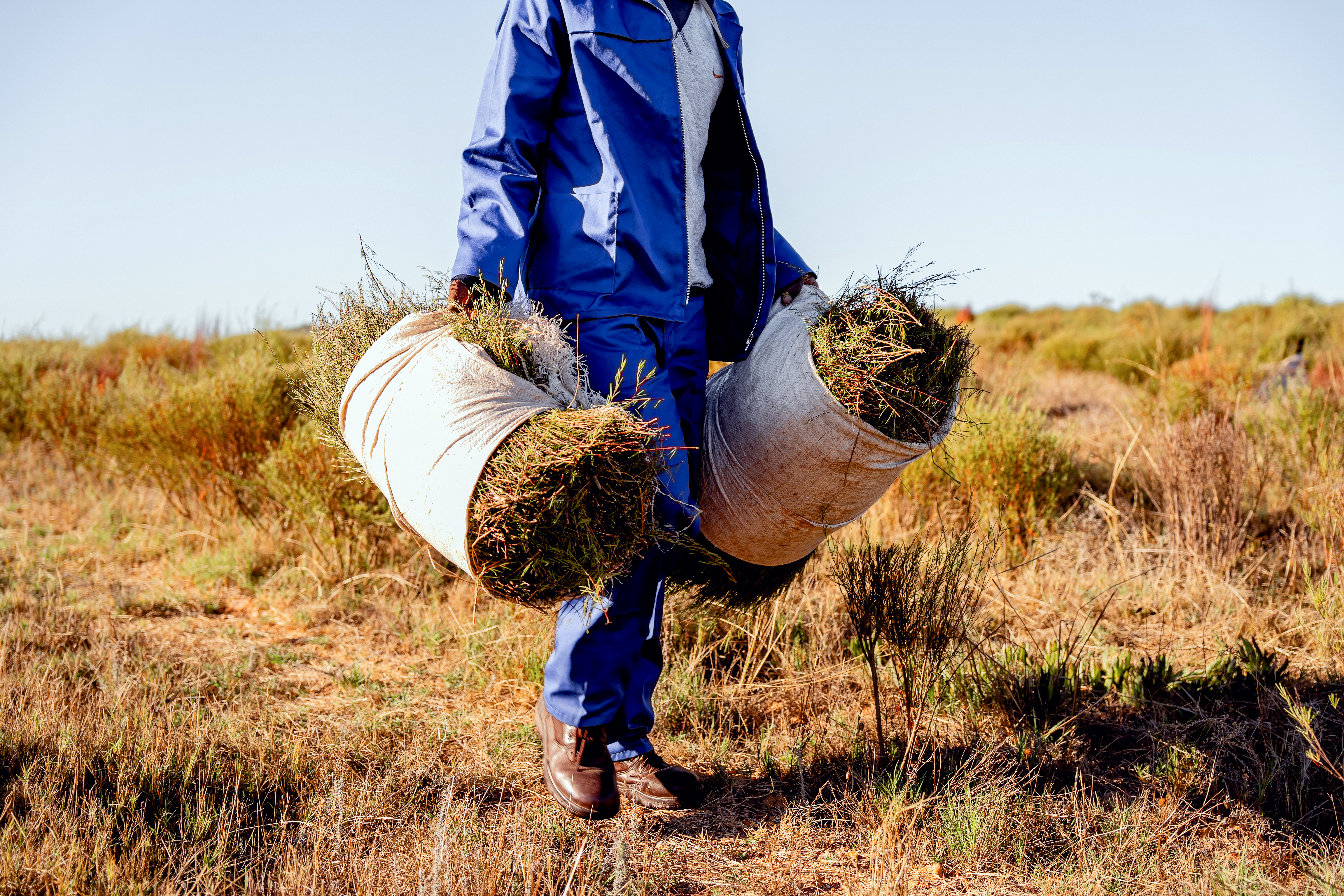 Local products can rescue SA’s GDP from the offshore consumption trap