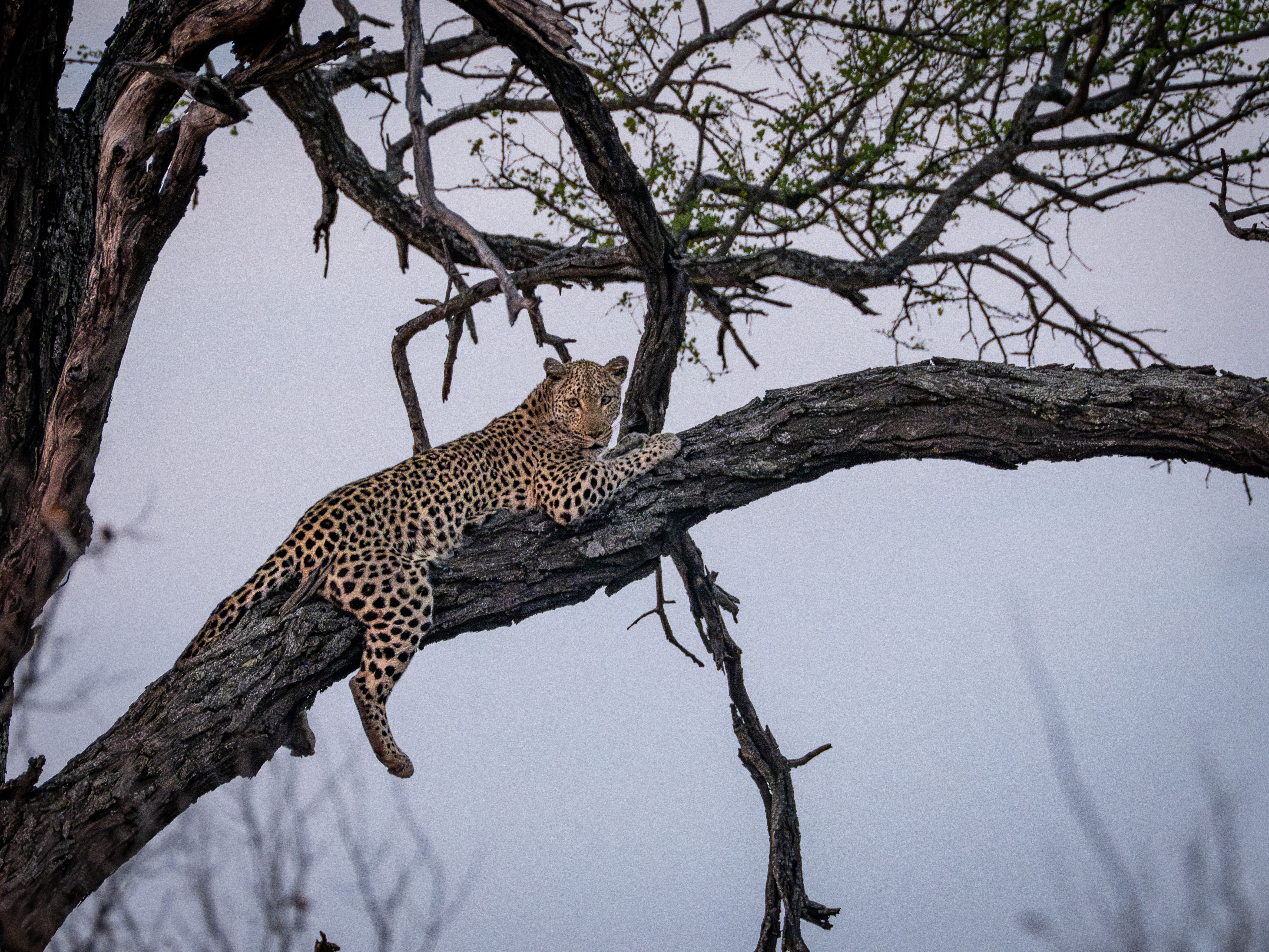 I have a picture for you! 18 October-24 October 2025