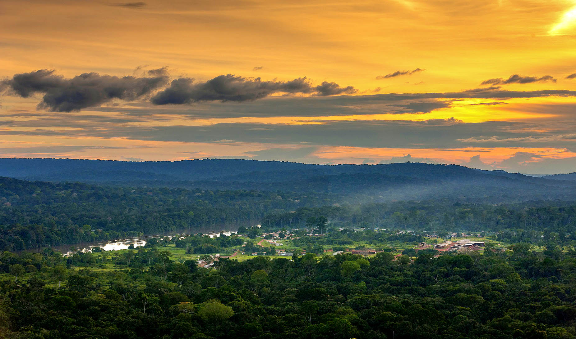 If threatened and ignored Congo Basin rainforests vanish, ‘Africa is not viable’