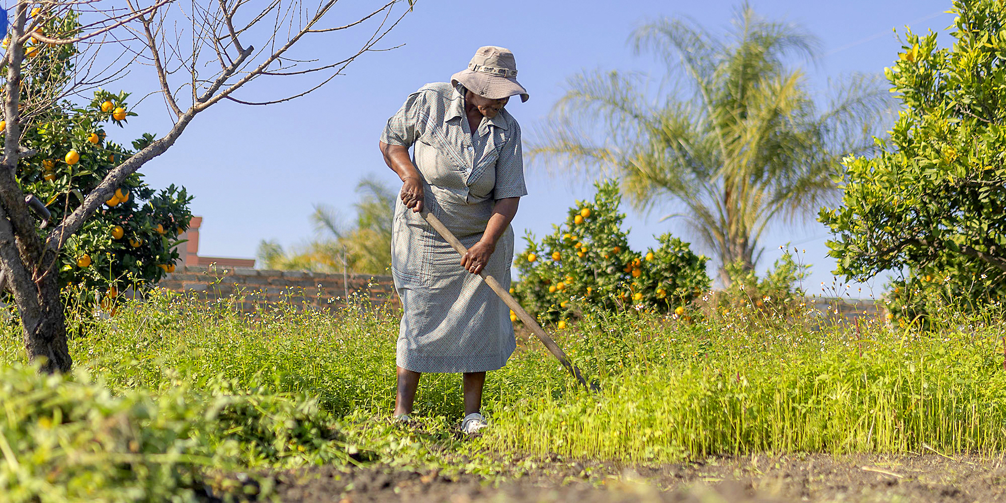 Nature doesn’t wait — agricultural financing needs to be agile to be effective